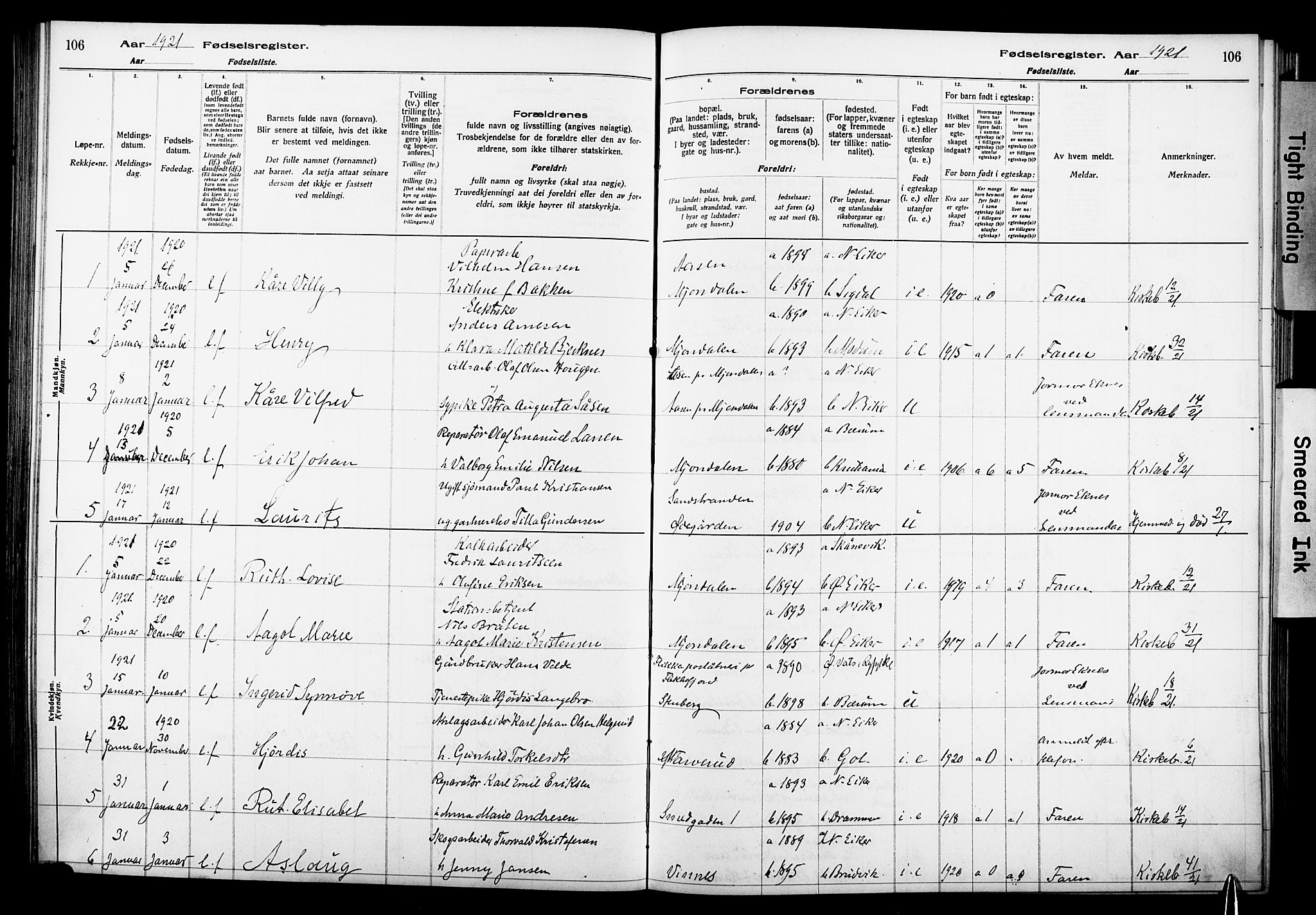 Nedre Eiker kirkebøker, SAKO/A-612/J/Ja/L0001: Birth register no. 1, 1916-1925, p. 106