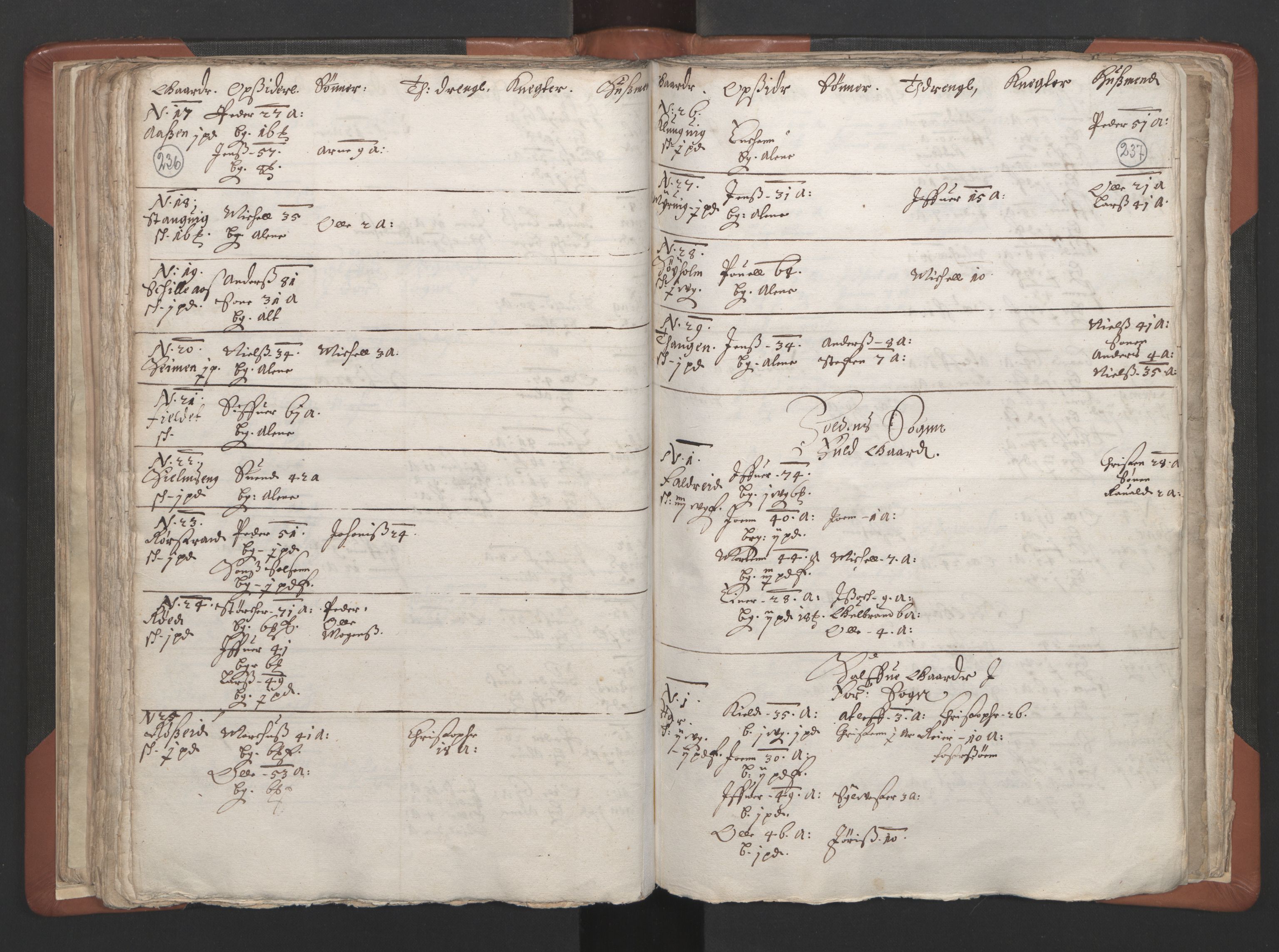 RA, Vicar's Census 1664-1666, no. 34: Namdal deanery, 1664-1666, p. 236-237