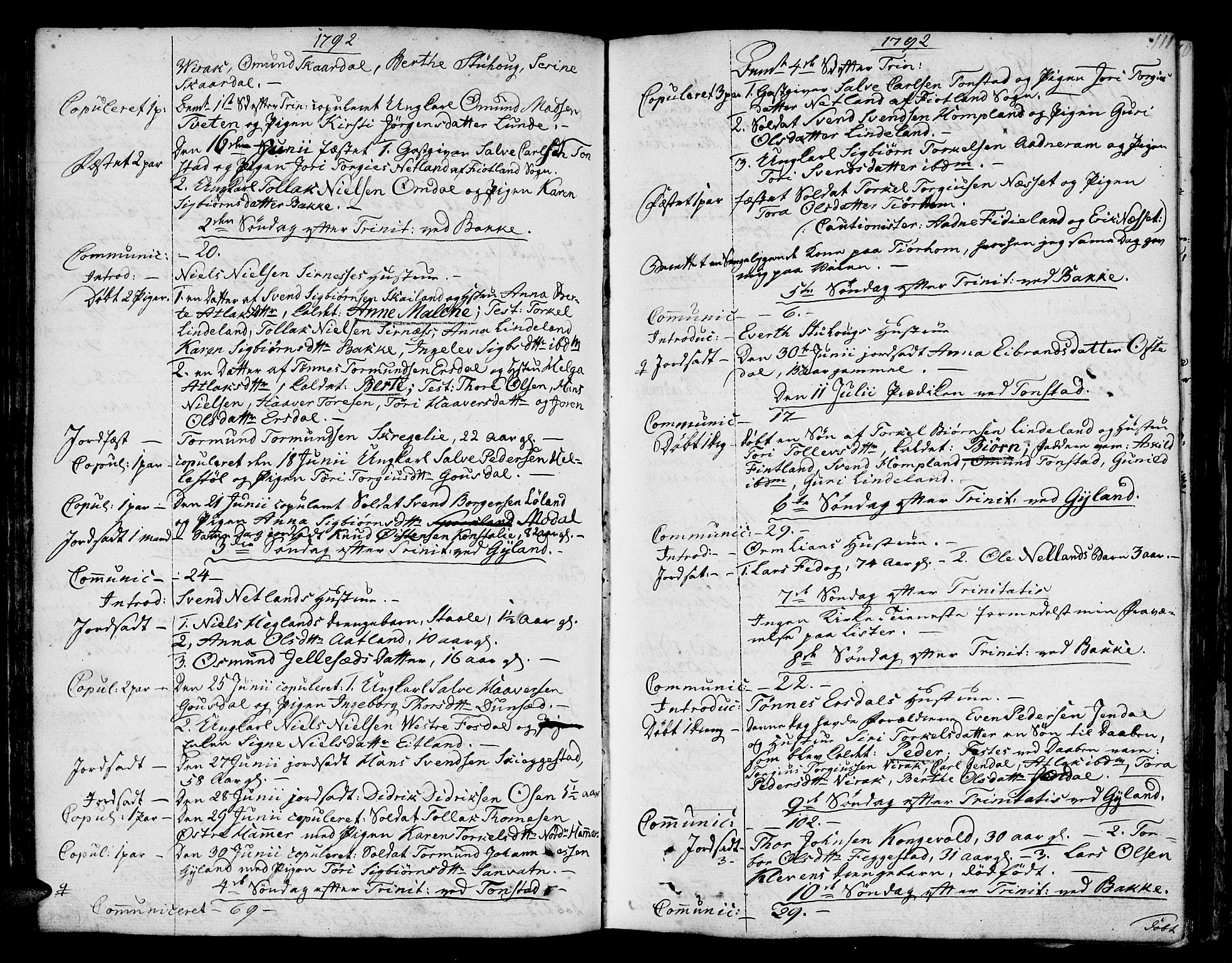 Bakke sokneprestkontor, AV/SAK-1111-0002/F/Fa/Faa/L0002: Parish register (official) no. A 2, 1780-1816, p. 111