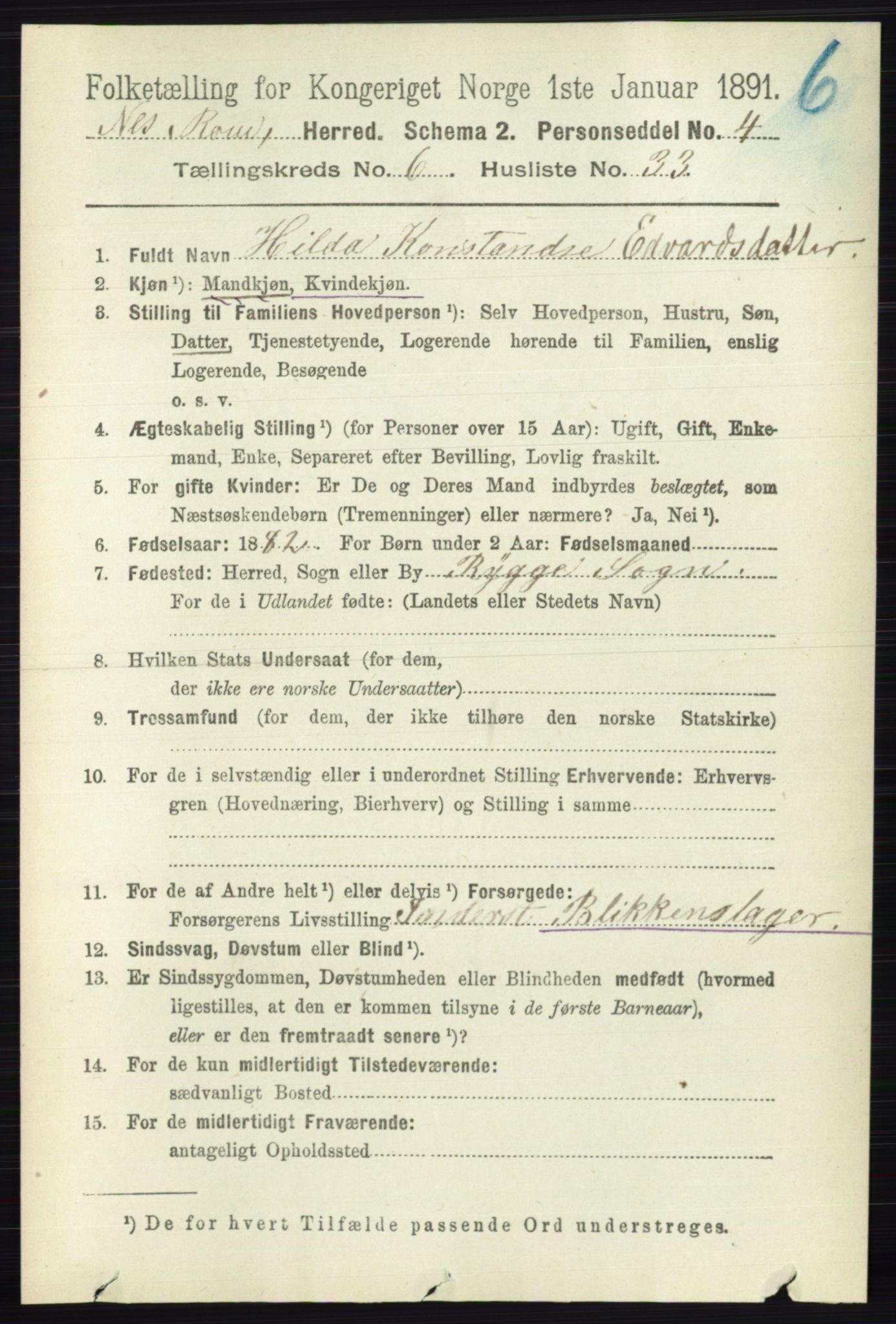 RA, 1891 census for 0236 Nes, 1891, p. 3589