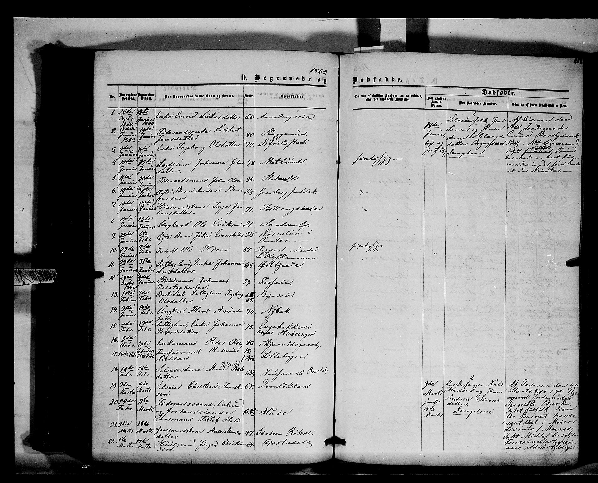 Romedal prestekontor, AV/SAH-PREST-004/K/L0005: Parish register (official) no. 5, 1862-1874, p. 251