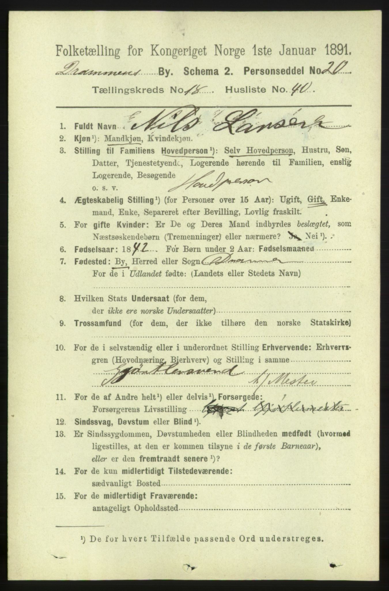 RA, 1891 census for 0602 Drammen, 1891, p. 11999