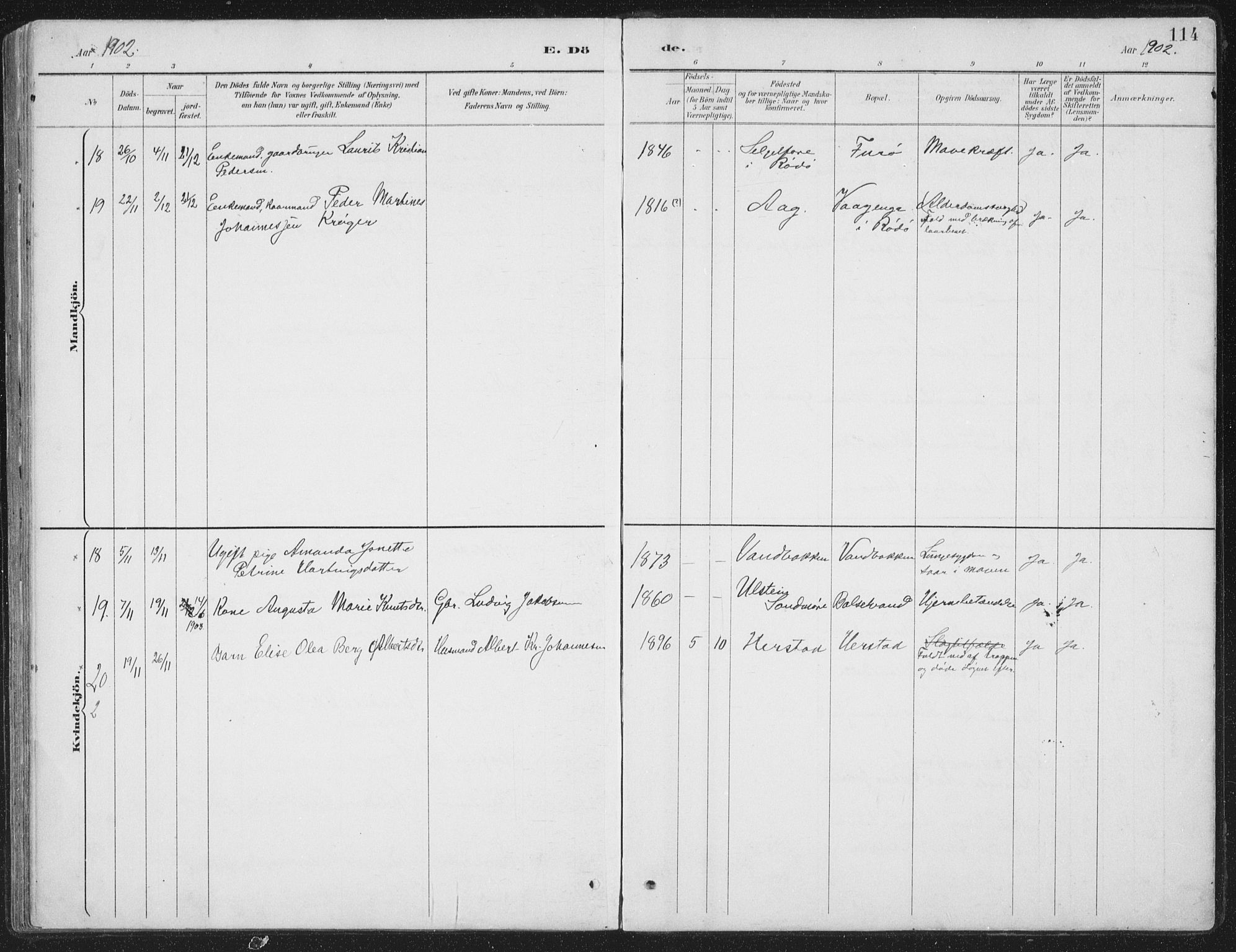 Ministerialprotokoller, klokkerbøker og fødselsregistre - Nordland, SAT/A-1459/843/L0638: Parish register (copy) no. 843C07, 1888-1907, p. 114