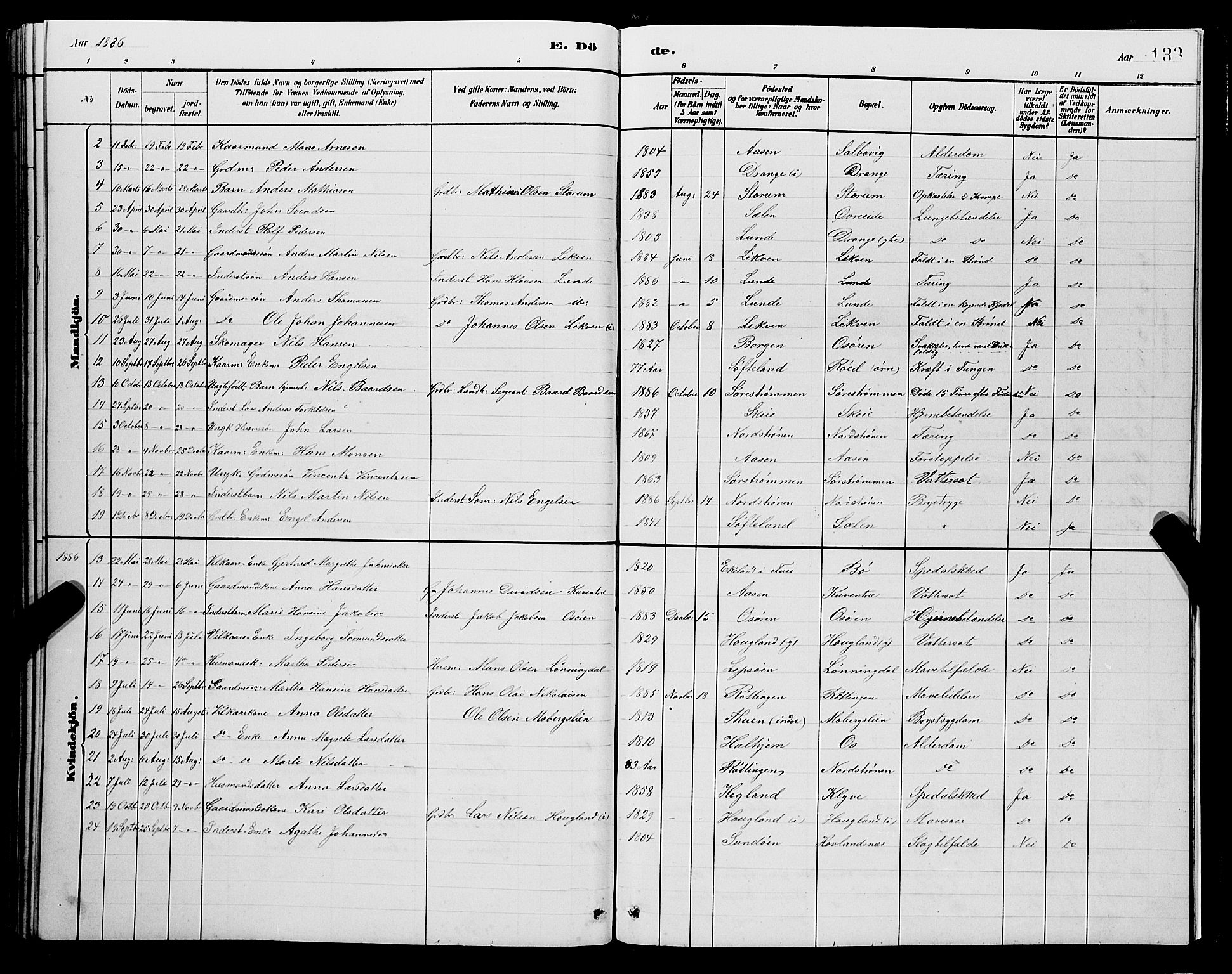 Os sokneprestembete, AV/SAB-A-99929: Parish register (copy) no. A 2, 1880-1896, p. 133