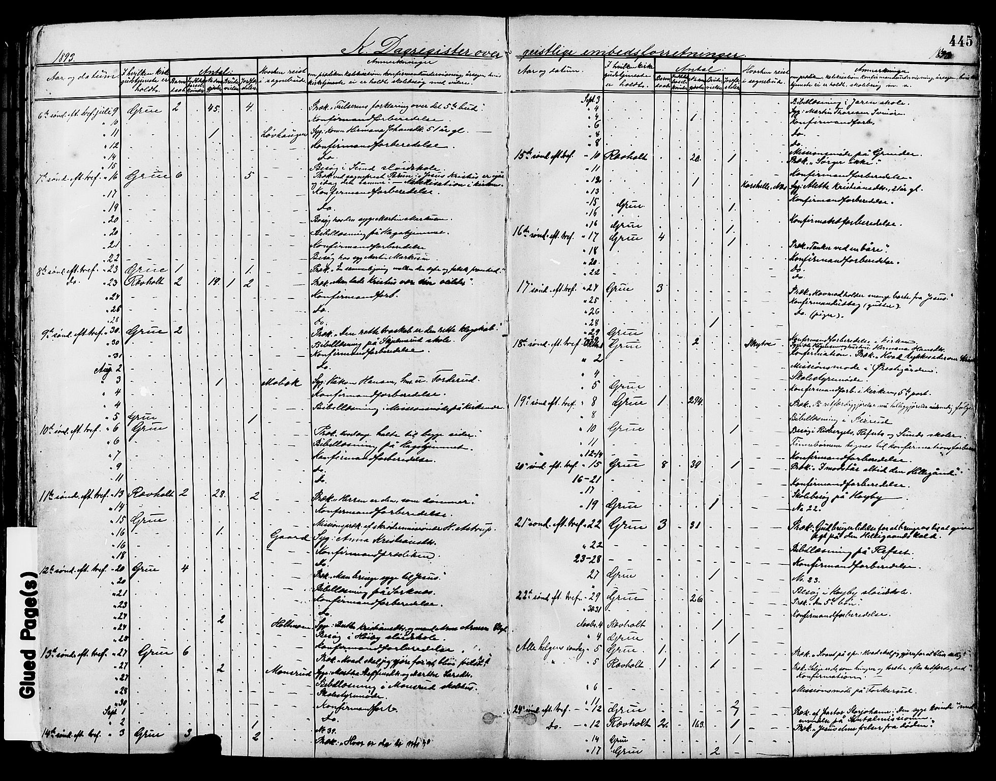 Grue prestekontor, AV/SAH-PREST-036/H/Ha/Haa/L0012: Parish register (official) no. 12, 1881-1897, p. 445