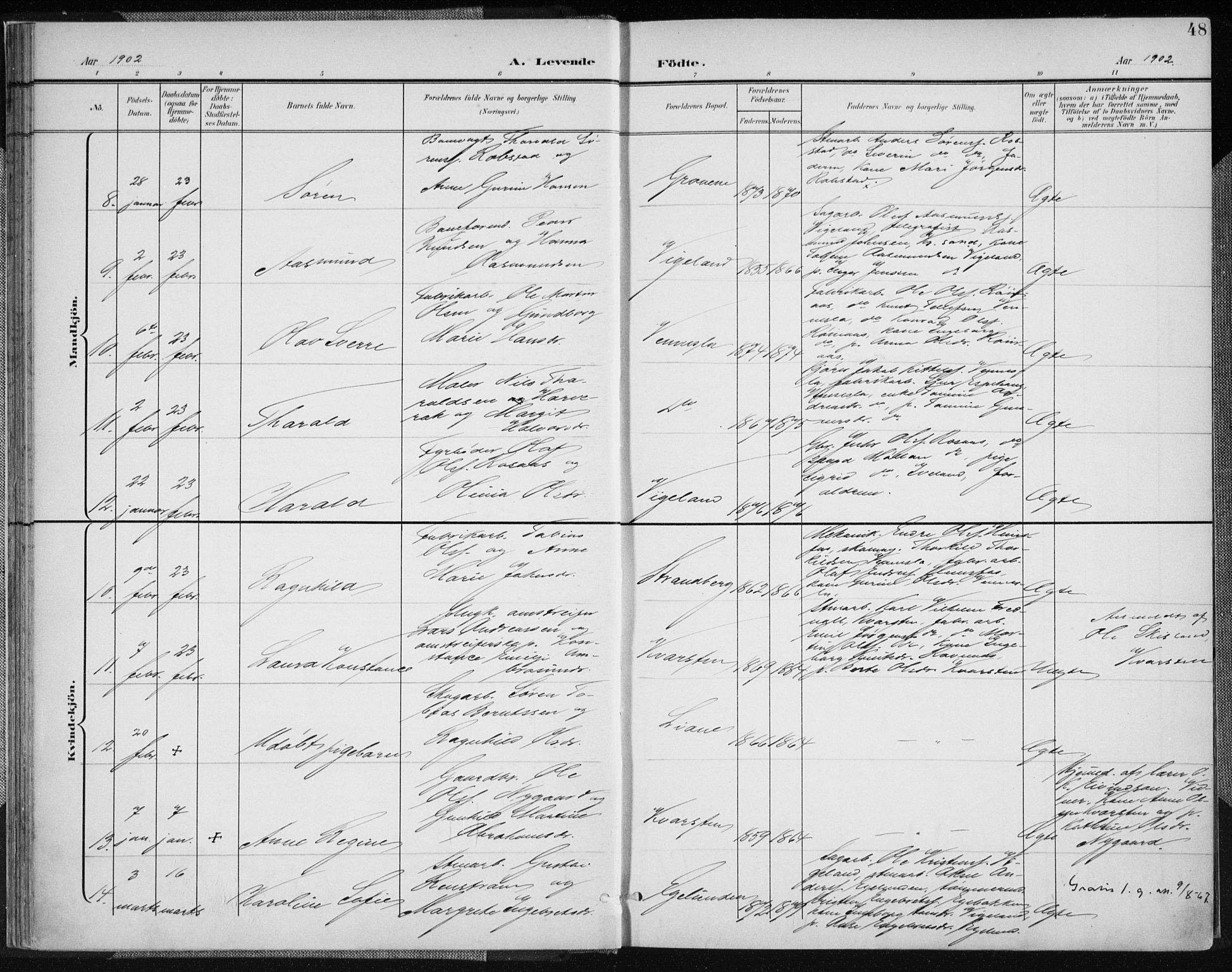 Vennesla sokneprestkontor, AV/SAK-1111-0045/Fa/Fab/L0005: Parish register (official) no. A 5, 1897-1909, p. 48