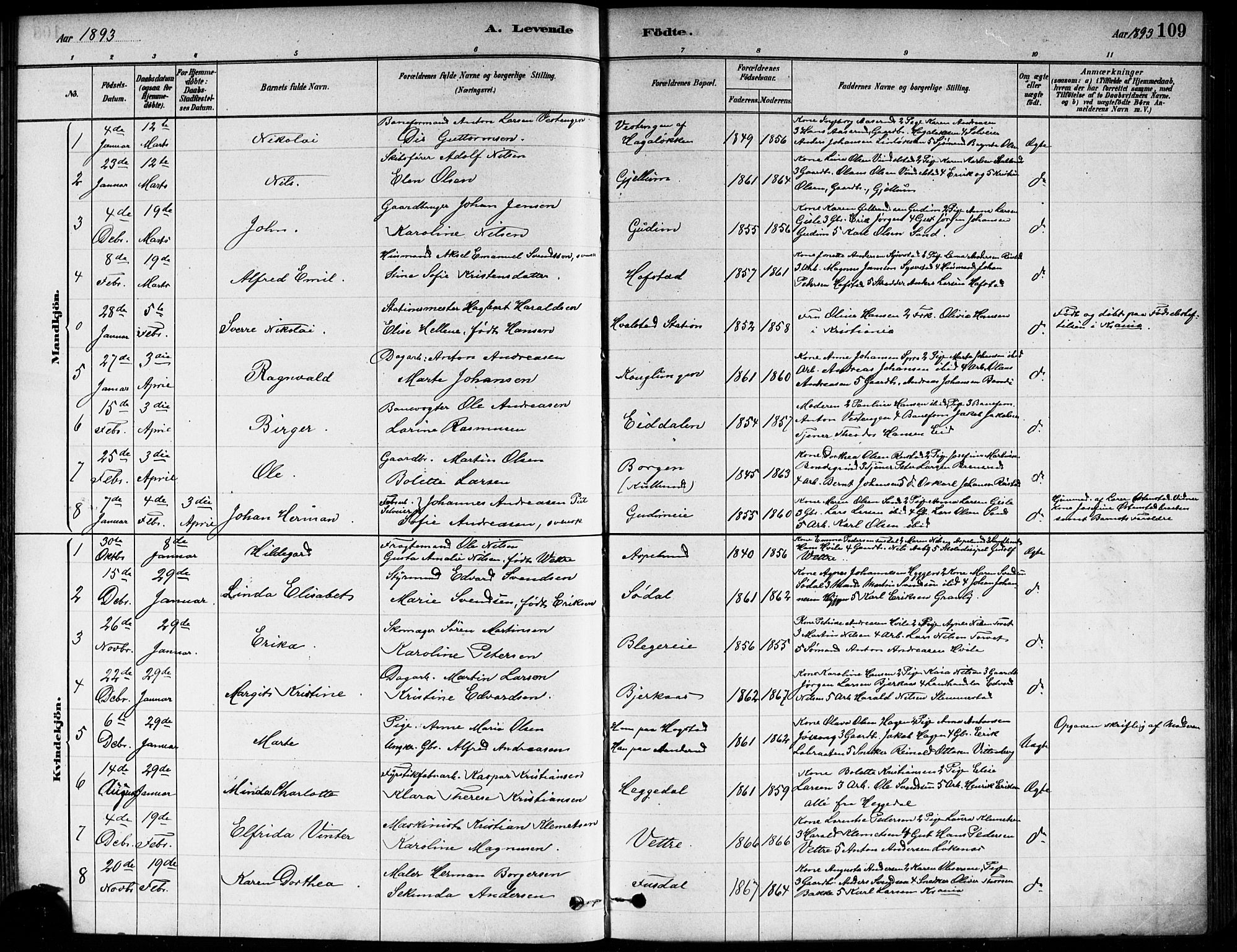 Asker prestekontor Kirkebøker, SAO/A-10256a/F/Fa/L0013: Parish register (official) no. I 13, 1879-1896, p. 109
