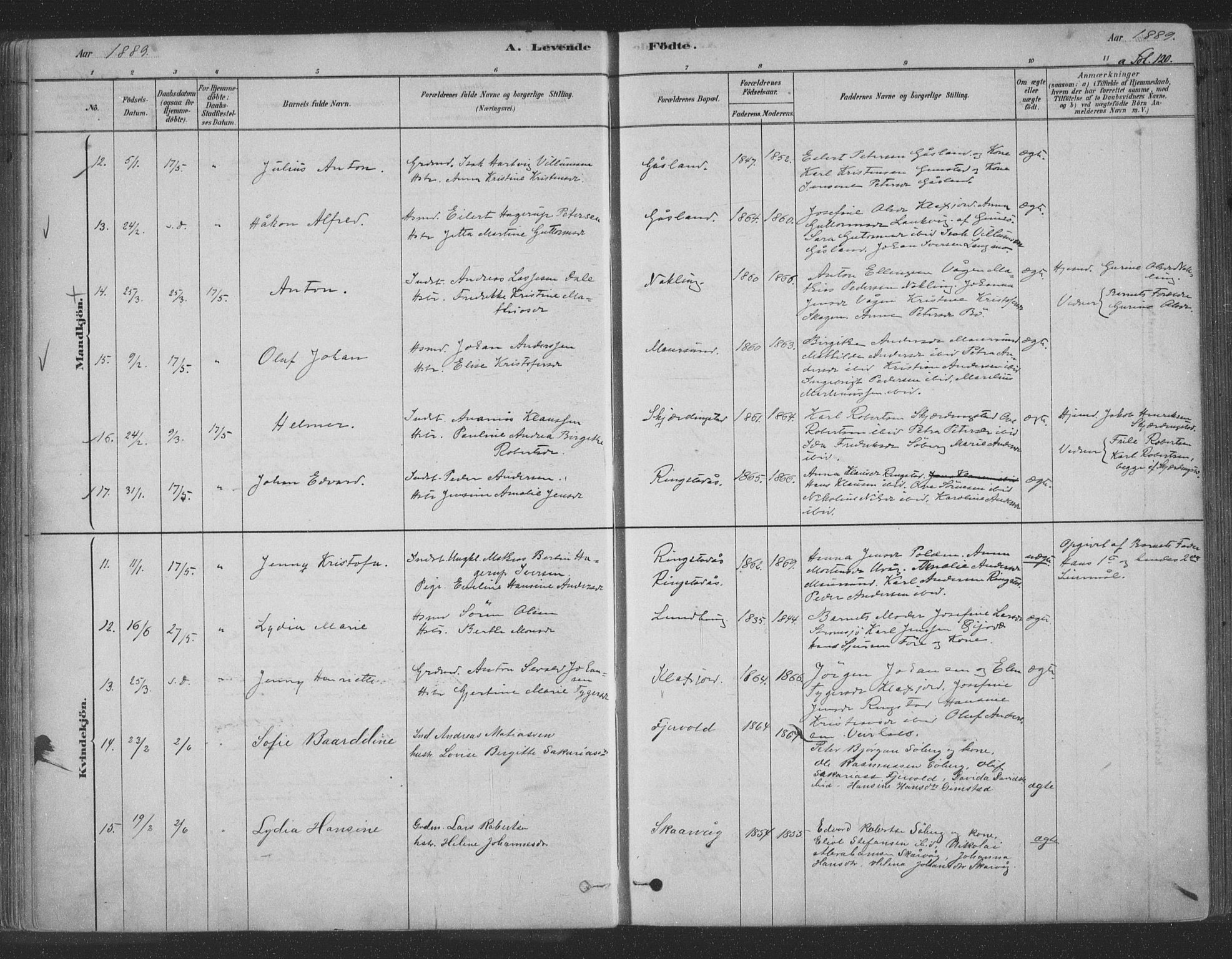 Ministerialprotokoller, klokkerbøker og fødselsregistre - Nordland, AV/SAT-A-1459/891/L1302: Parish register (official) no. 891A07, 1878-1895, p. 120