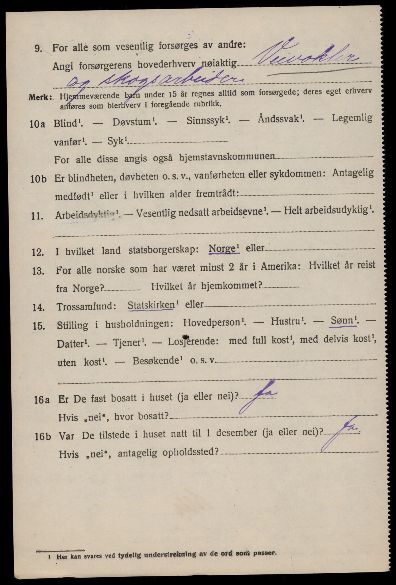 SAKO, 1920 census for Fyresdal, 1920, p. 970