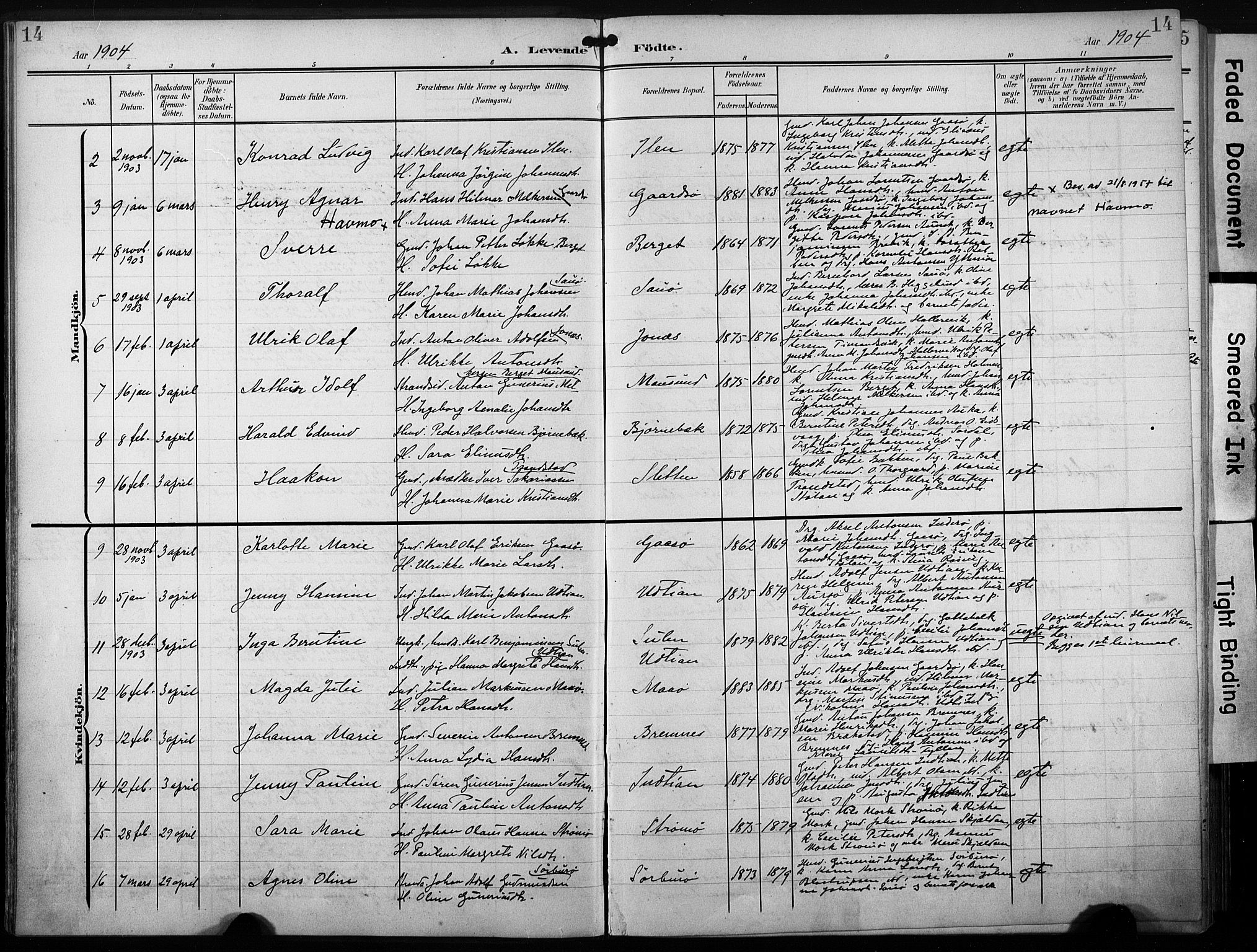 Ministerialprotokoller, klokkerbøker og fødselsregistre - Sør-Trøndelag, SAT/A-1456/640/L0580: Parish register (official) no. 640A05, 1902-1910, p. 14