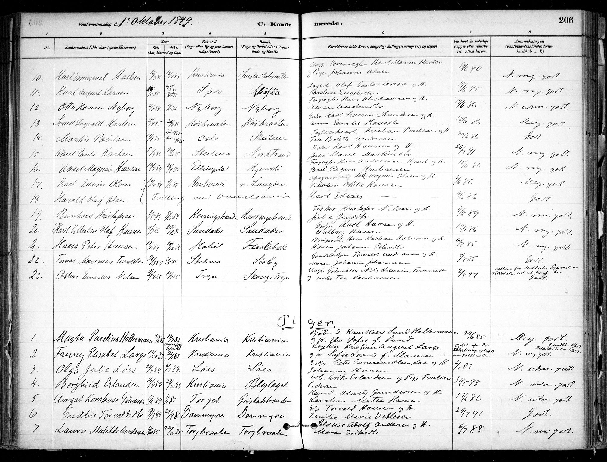 Nesodden prestekontor Kirkebøker, SAO/A-10013/F/Fa/L0009: Parish register (official) no. I 9, 1880-1915, p. 206