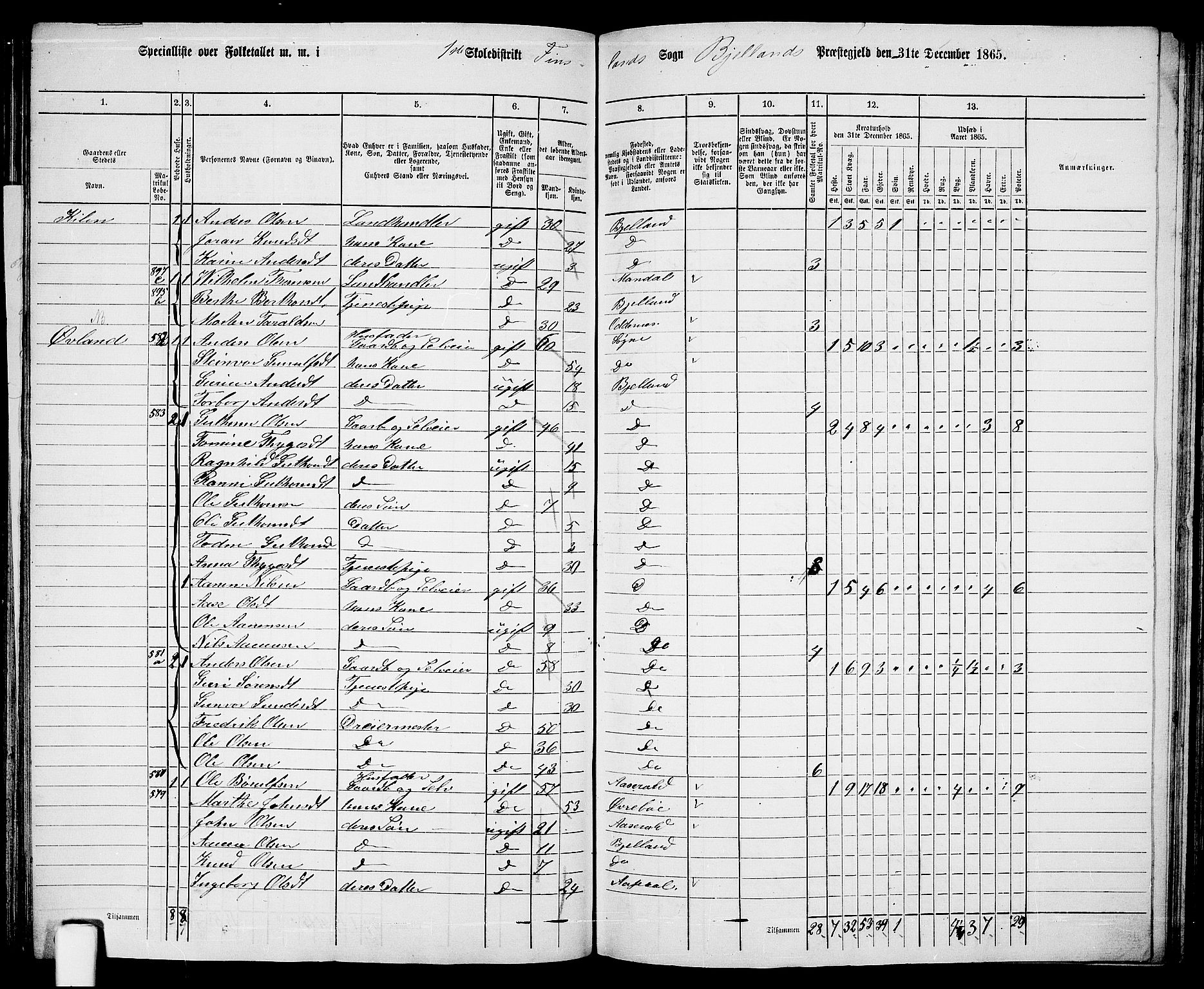 RA, 1865 census for Bjelland, 1865, p. 20