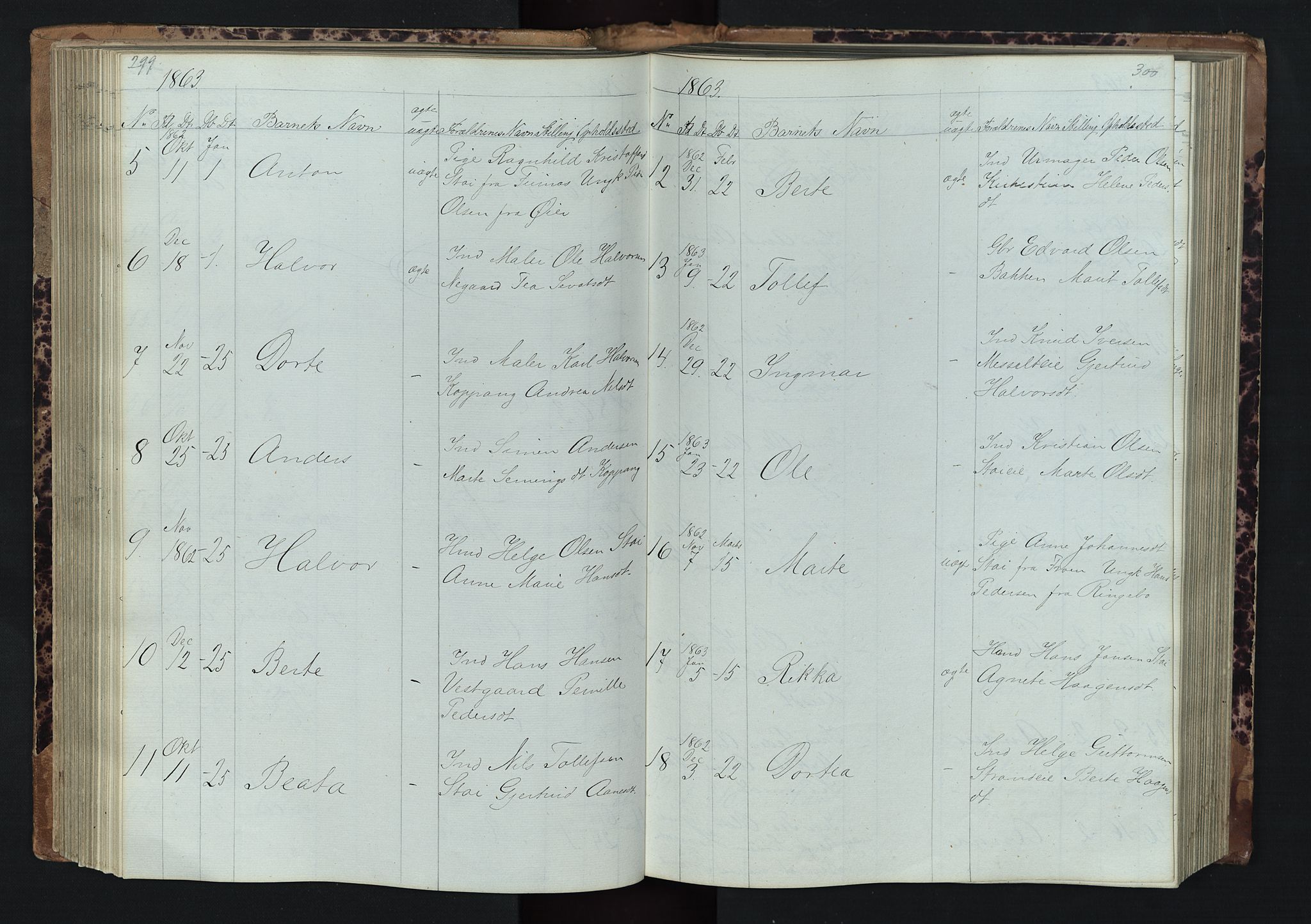 Stor-Elvdal prestekontor, AV/SAH-PREST-052/H/Ha/Hab/L0001: Parish register (copy) no. 1 /1, 1860-1894, p. 299-300