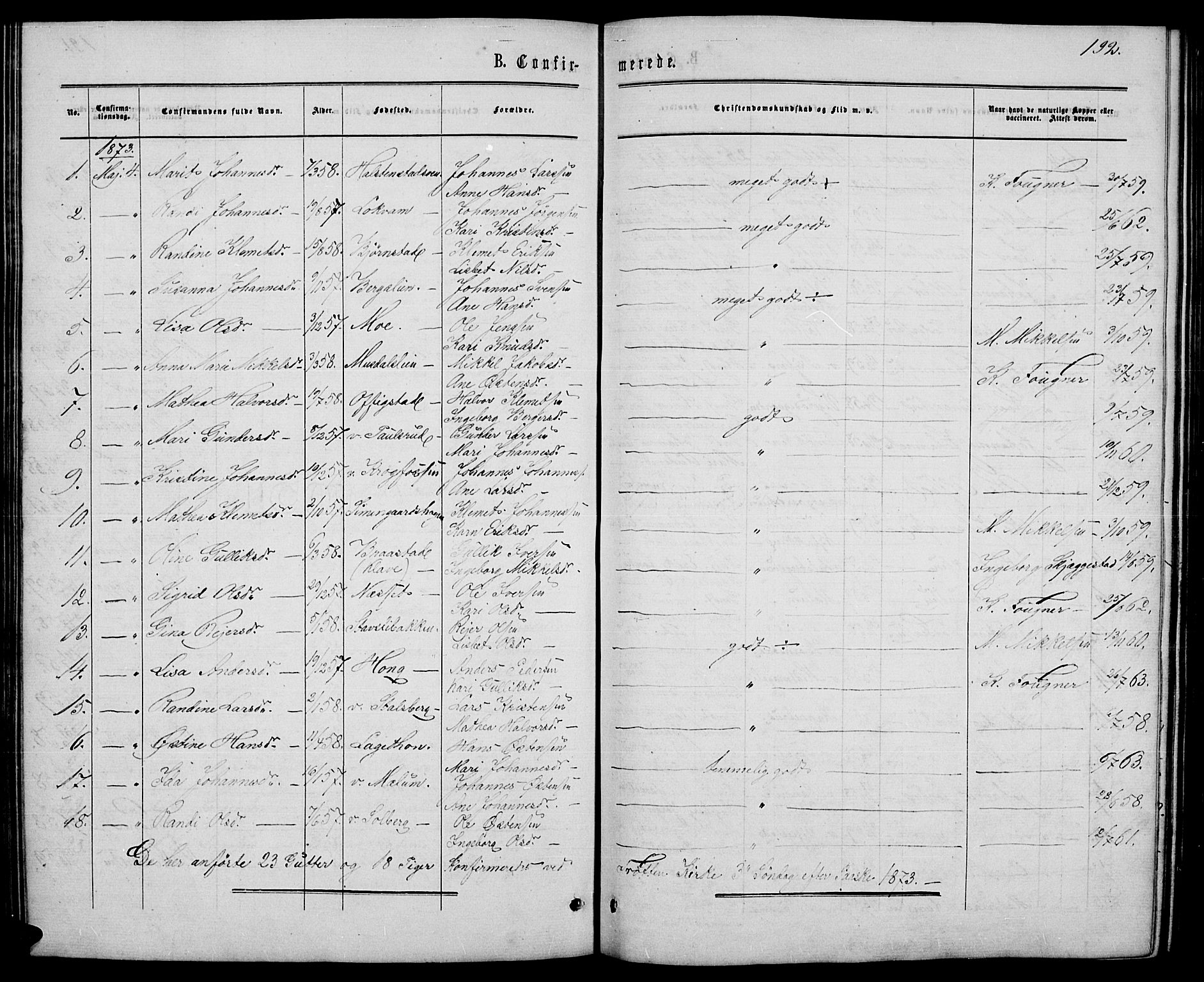 Øyer prestekontor, SAH/PREST-084/H/Ha/Hab/L0001: Parish register (copy) no. 1, 1863-1877, p. 192