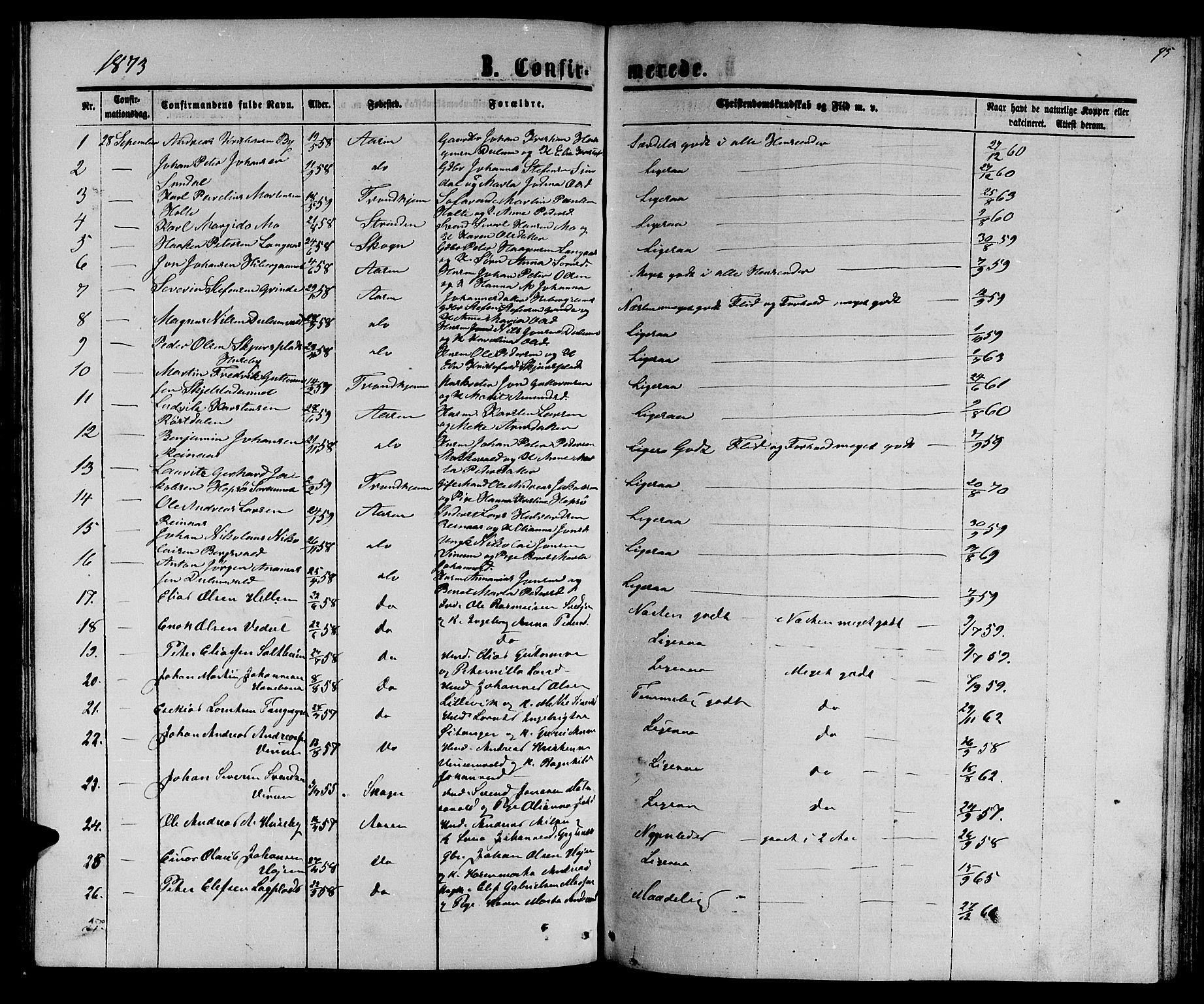 Ministerialprotokoller, klokkerbøker og fødselsregistre - Nord-Trøndelag, SAT/A-1458/714/L0133: Parish register (copy) no. 714C02, 1865-1877, p. 95