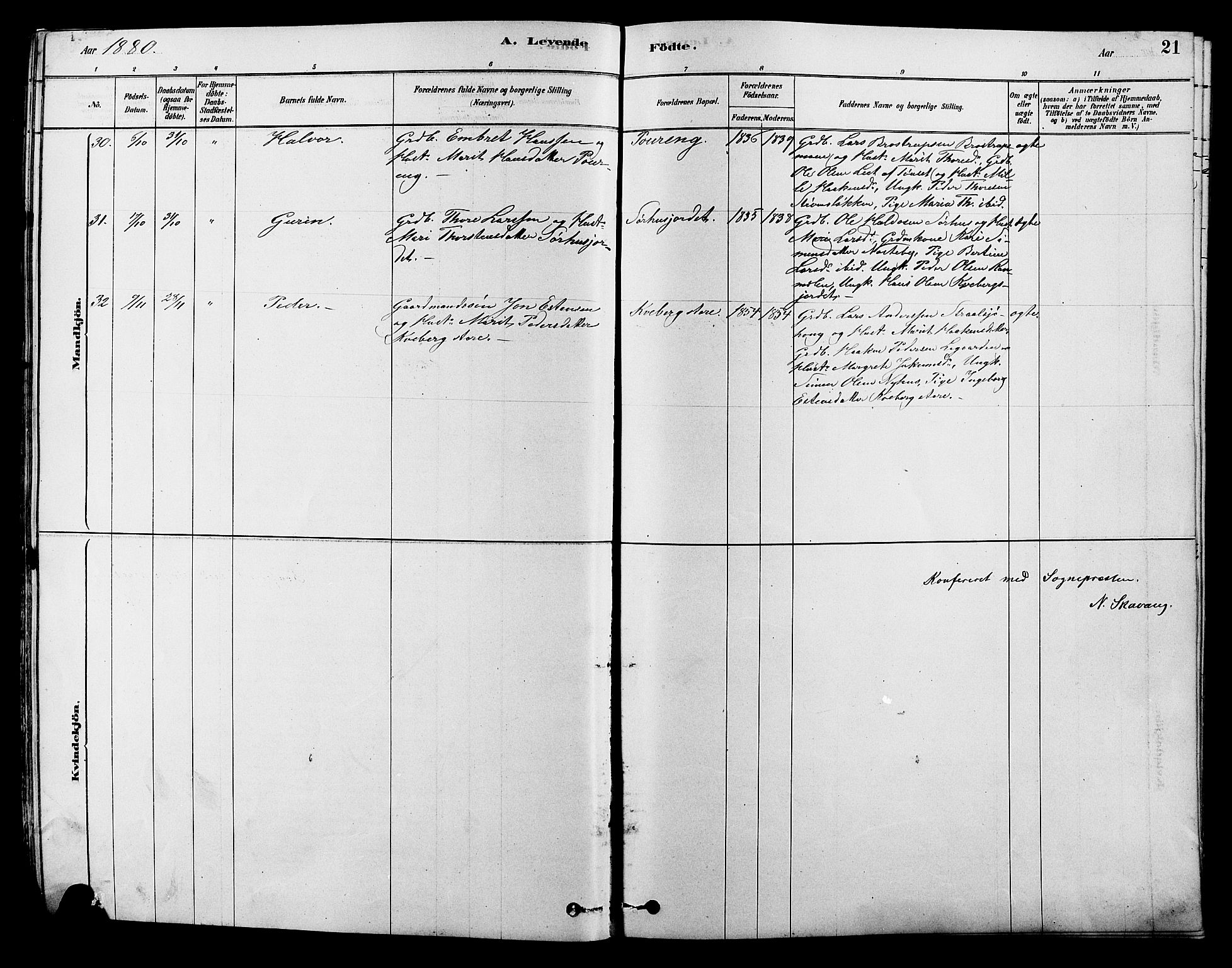 Alvdal prestekontor, AV/SAH-PREST-060/H/Ha/Hab/L0003: Parish register (copy) no. 3, 1878-1907, p. 21