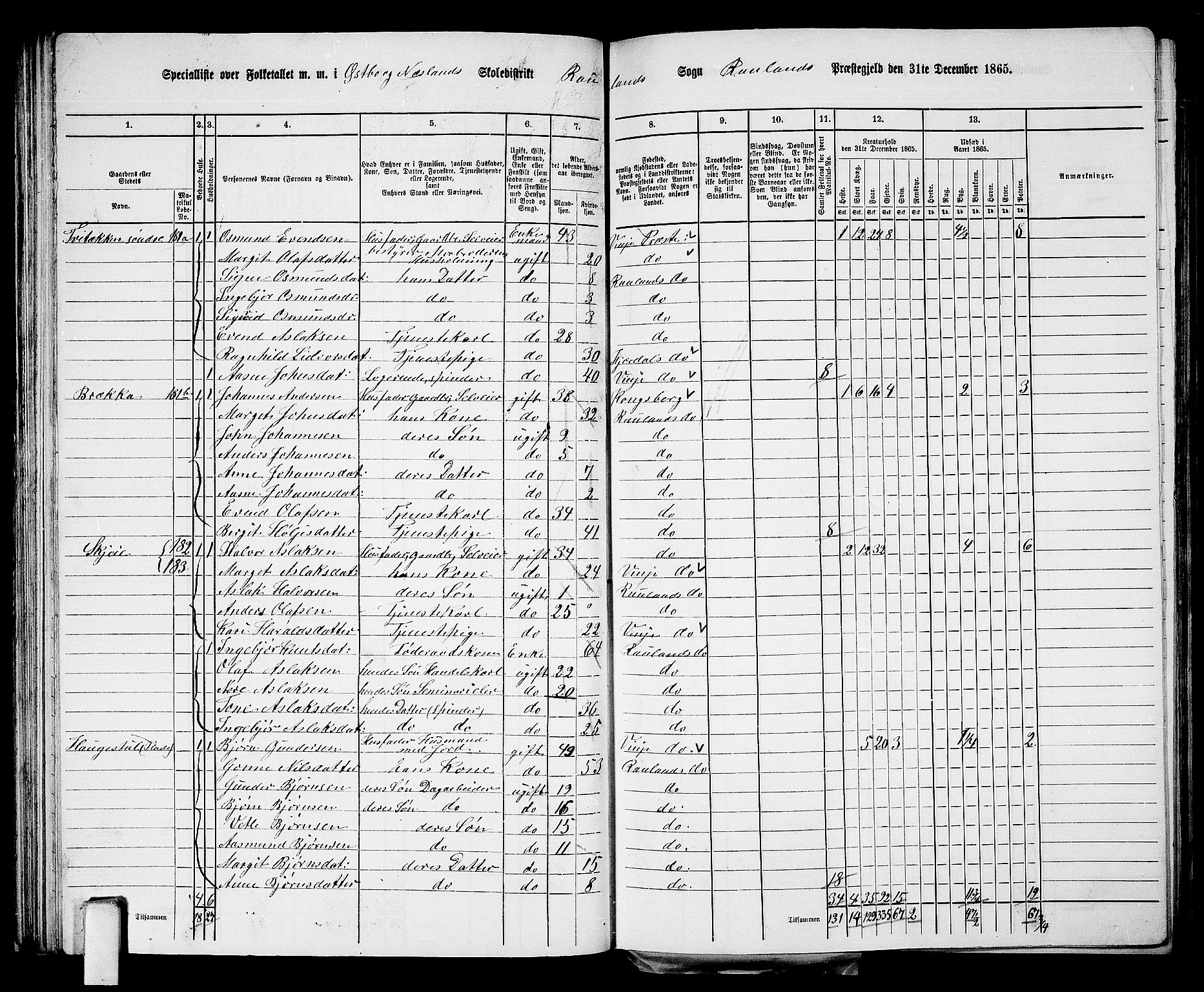 RA, 1865 census for Rauland, 1865, p. 46