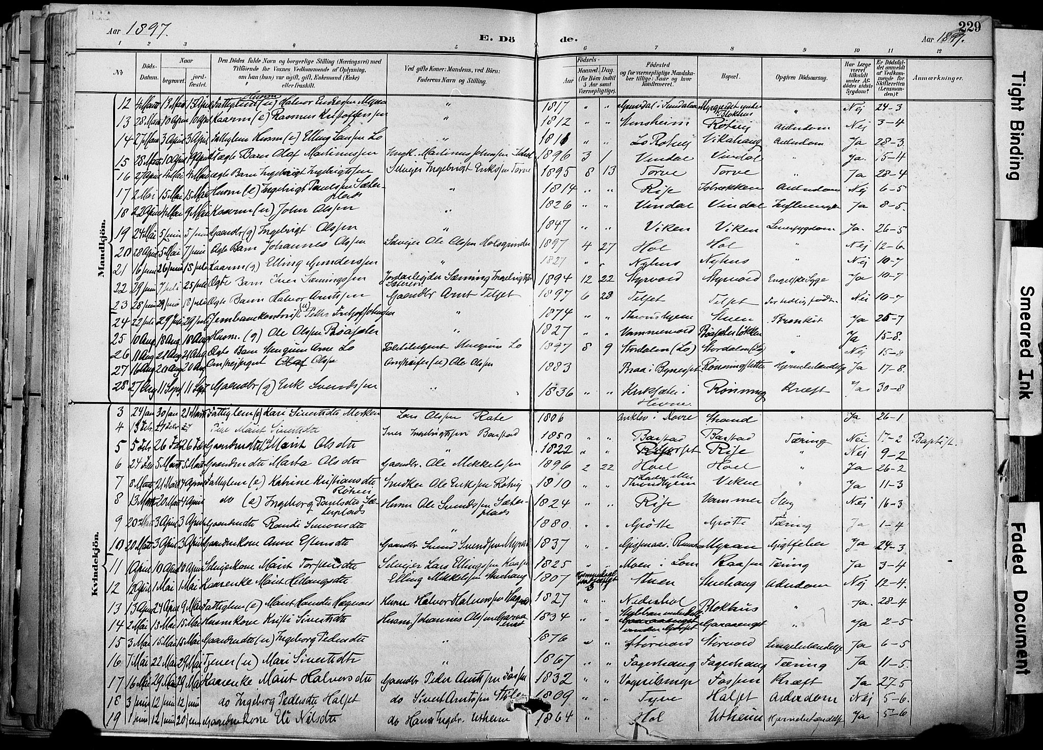 Ministerialprotokoller, klokkerbøker og fødselsregistre - Sør-Trøndelag, SAT/A-1456/678/L0902: Parish register (official) no. 678A11, 1895-1911, p. 229