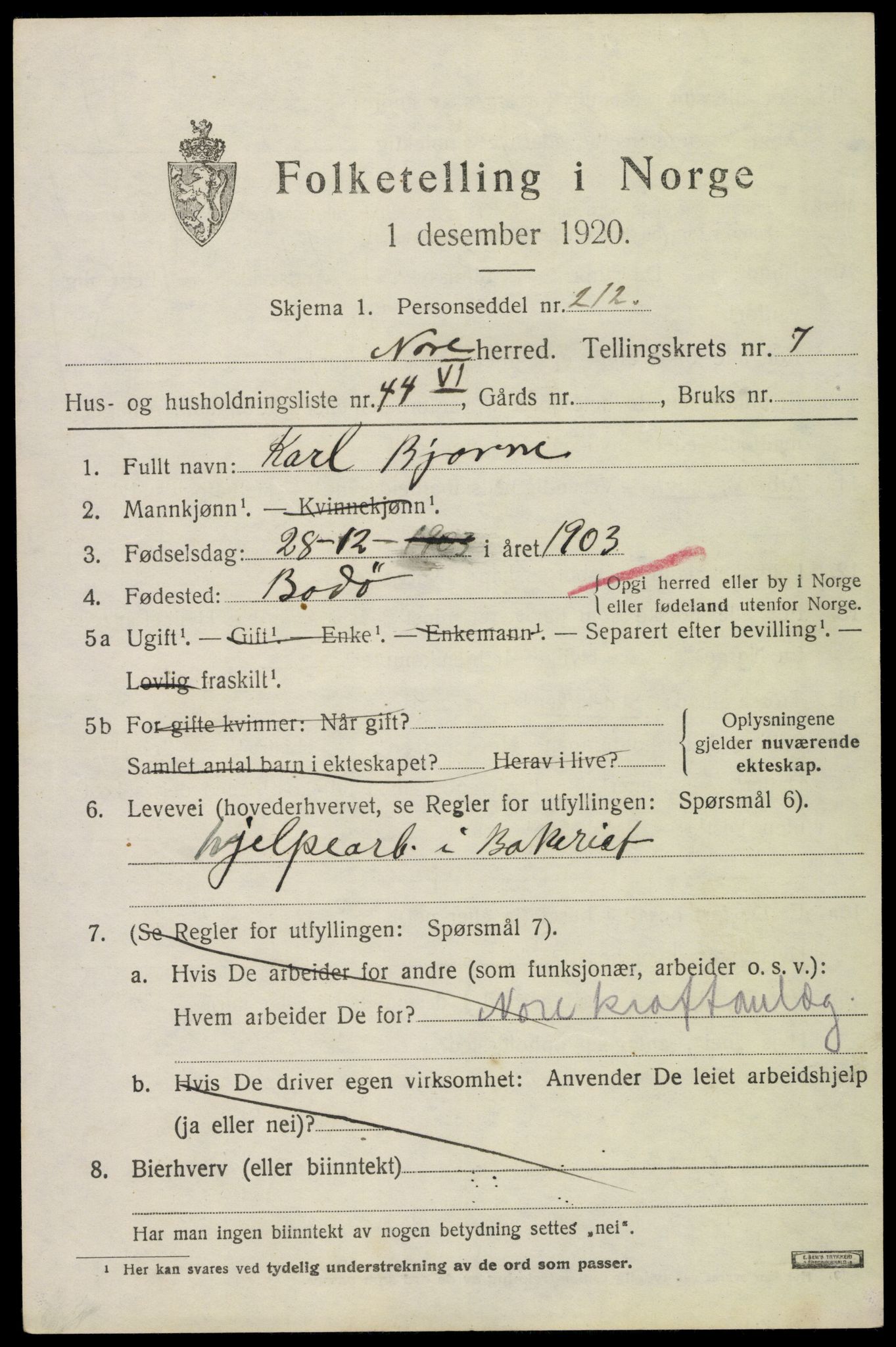 SAKO, 1920 census for Nore, 1920, p. 3990