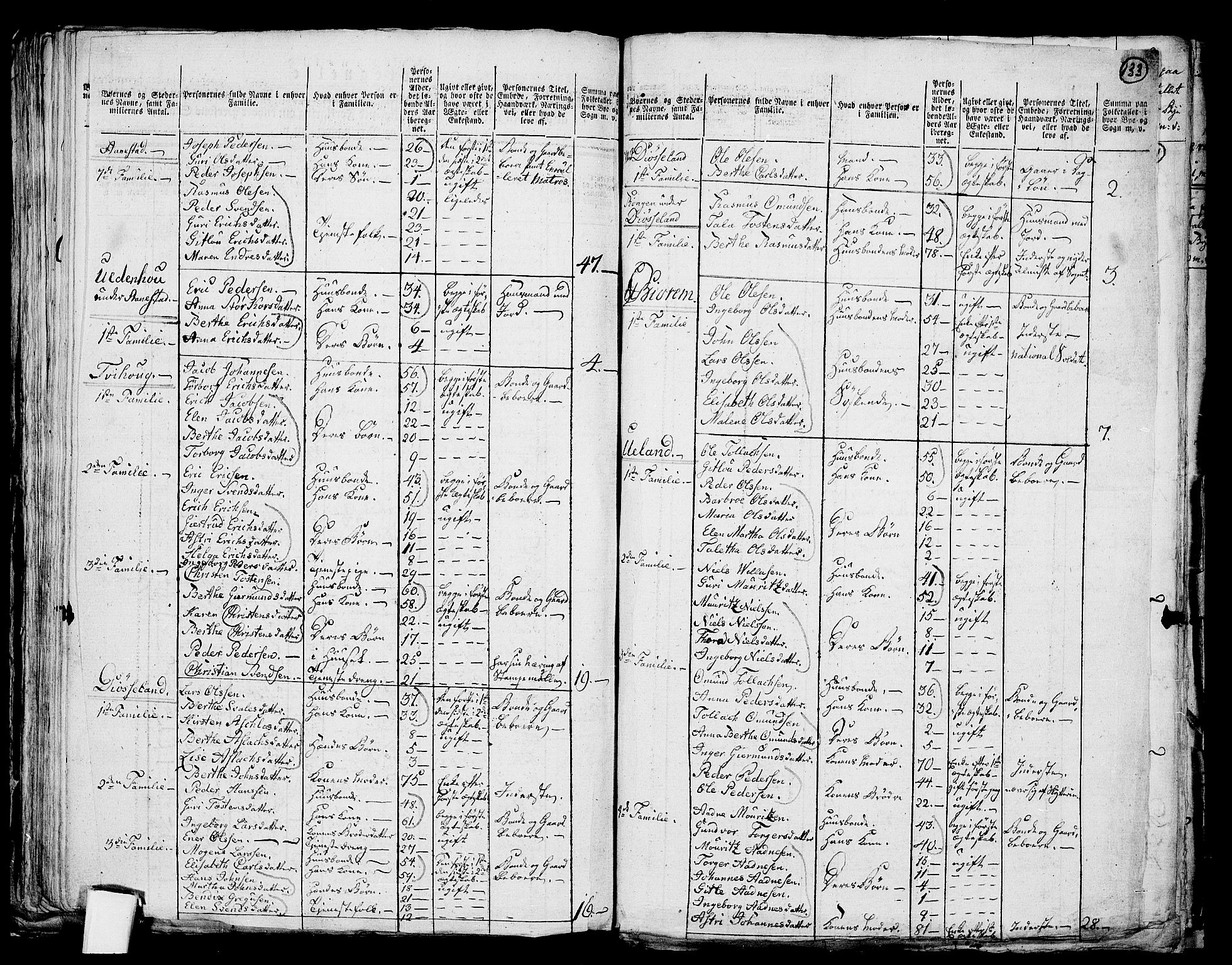 RA, 1801 census for 1119P Hå, 1801, p. 132b-133a