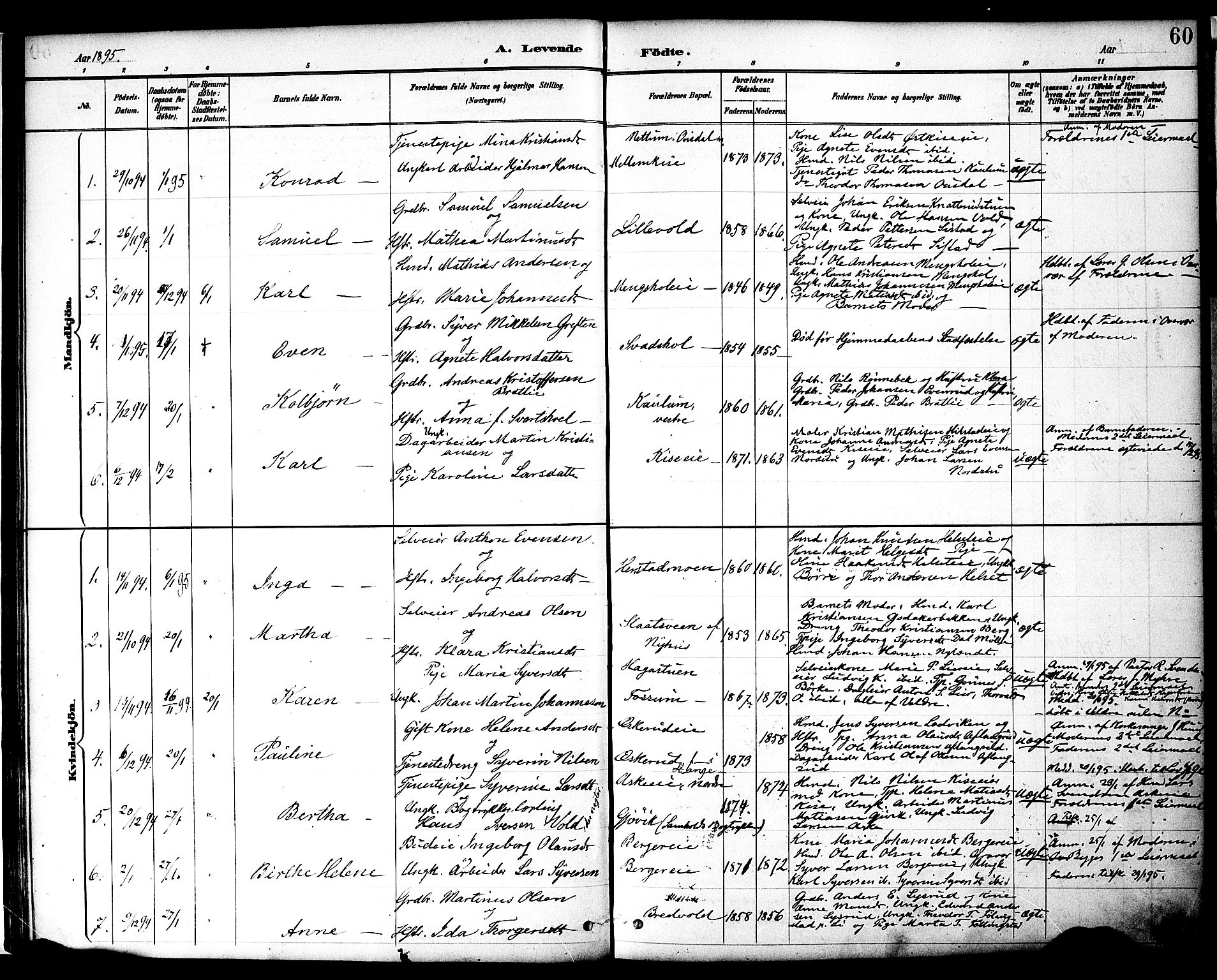 Nes prestekontor, Hedmark, SAH/PREST-020/K/Ka/L0009: Parish register (official) no. 9, 1887-1905, p. 60