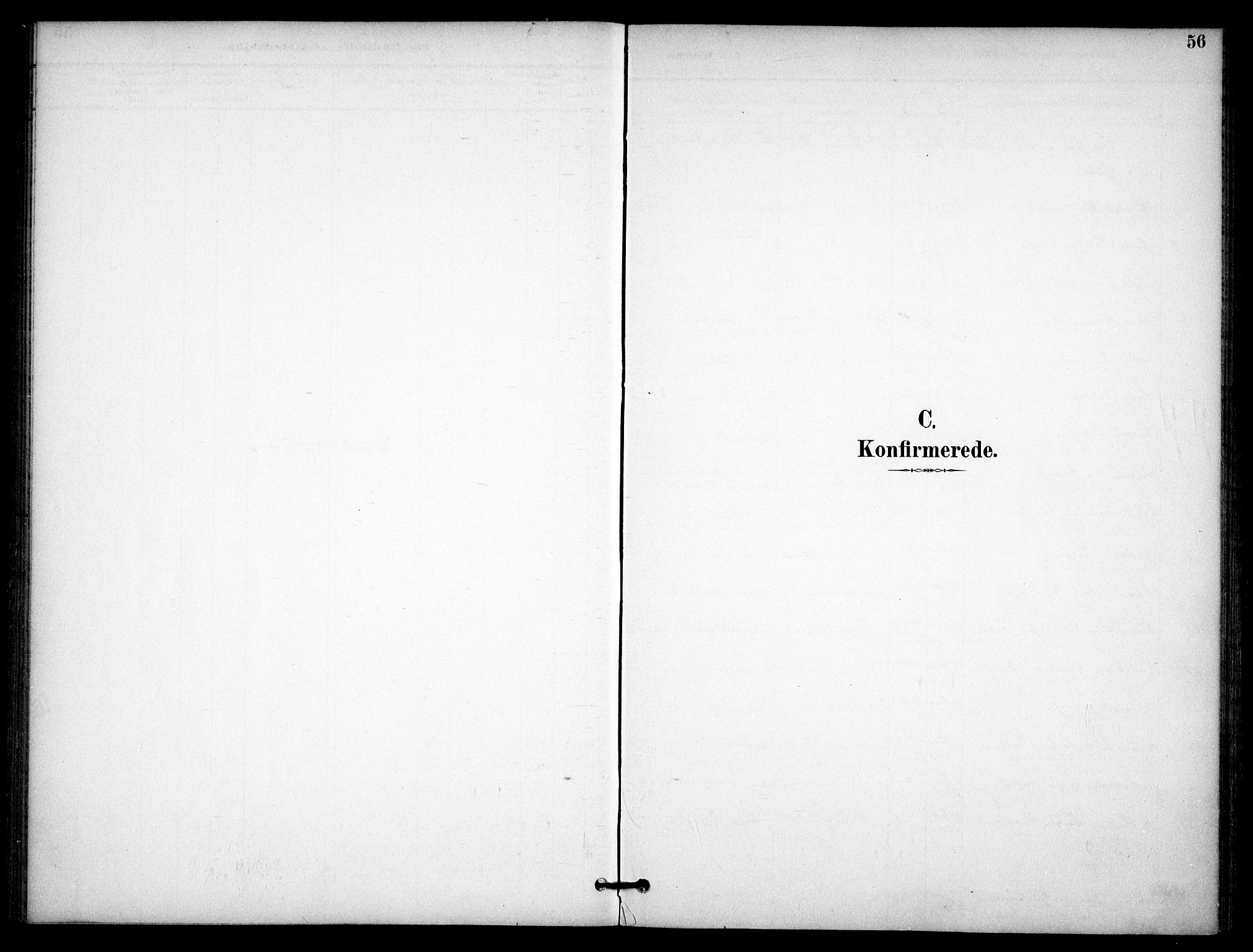Nannestad prestekontor Kirkebøker, SAO/A-10414a/F/Fb/L0002: Parish register (official) no. II 2, 1891-1909, p. 56