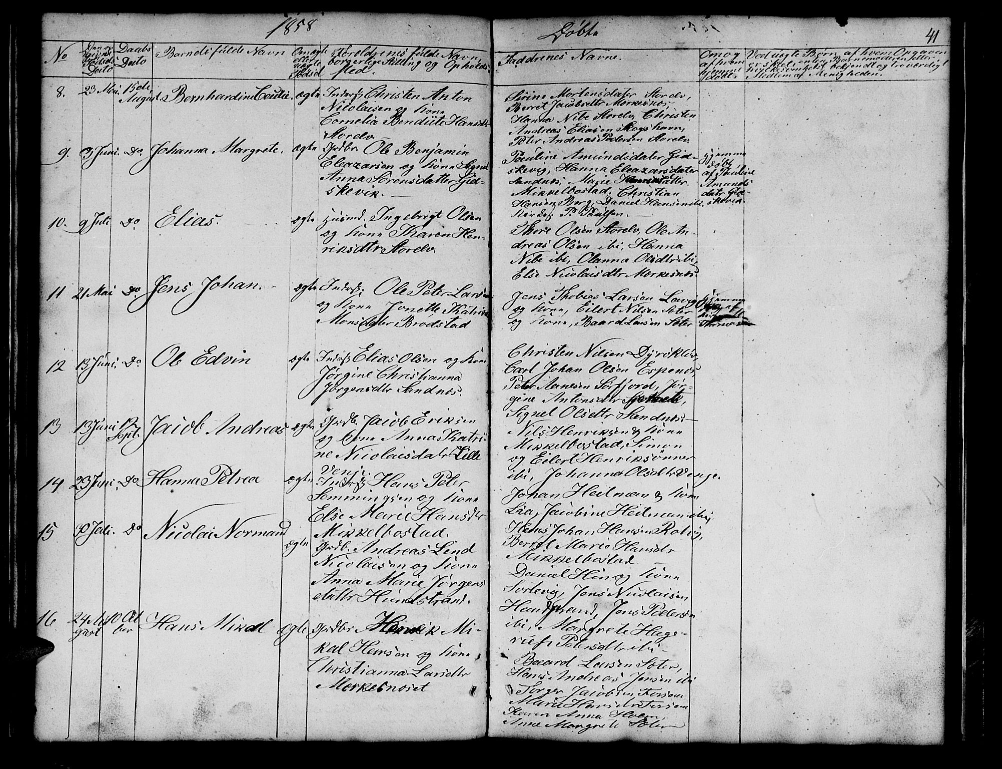 Tranøy sokneprestkontor, AV/SATØ-S-1313/I/Ia/Iab/L0011klokker: Parish register (copy) no. 11, 1845-1859, p. 41