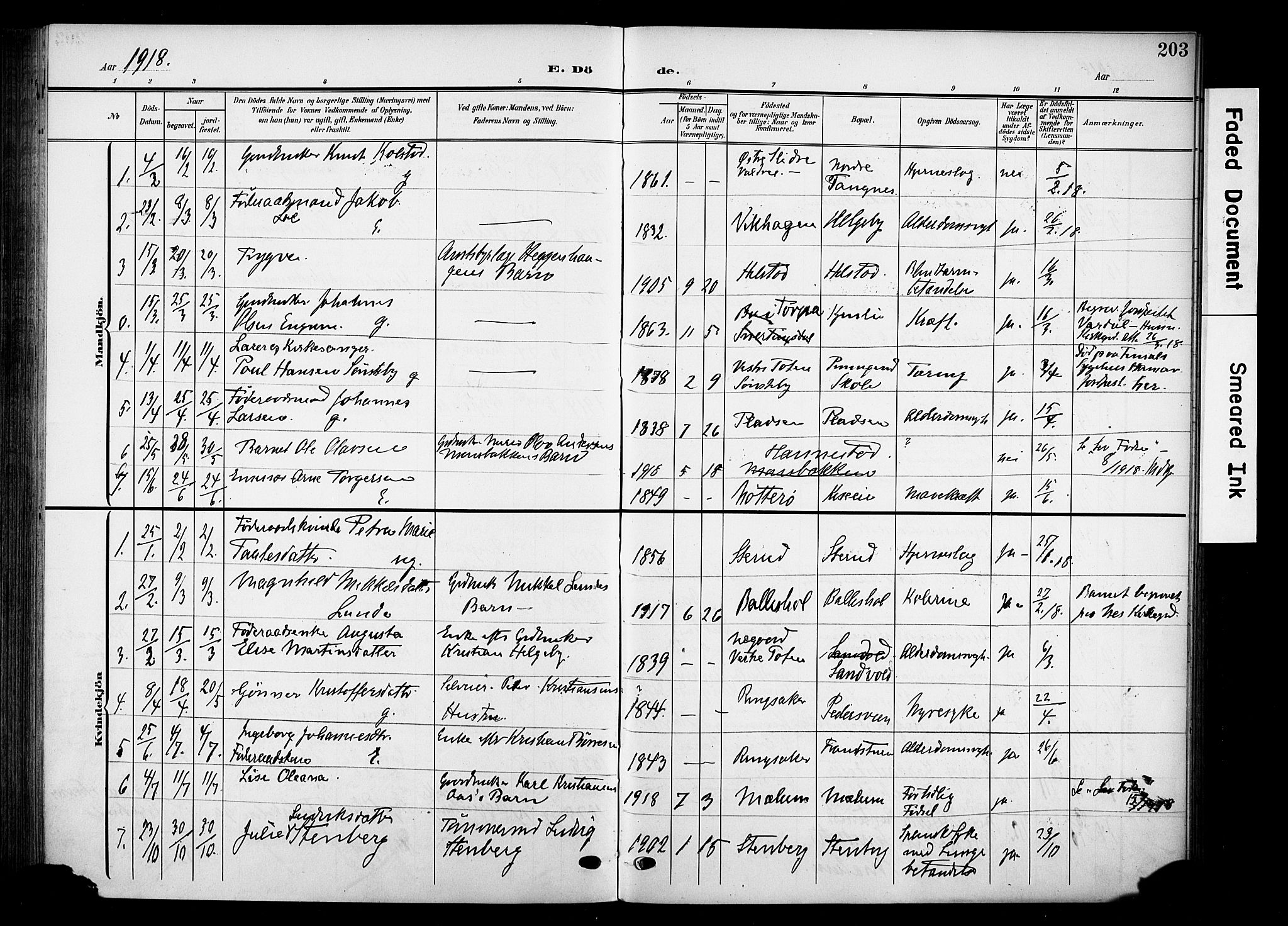 Nes prestekontor, Hedmark, SAH/PREST-020/K/Ka/L0013: Parish register (official) no. 13, 1906-1924, p. 203