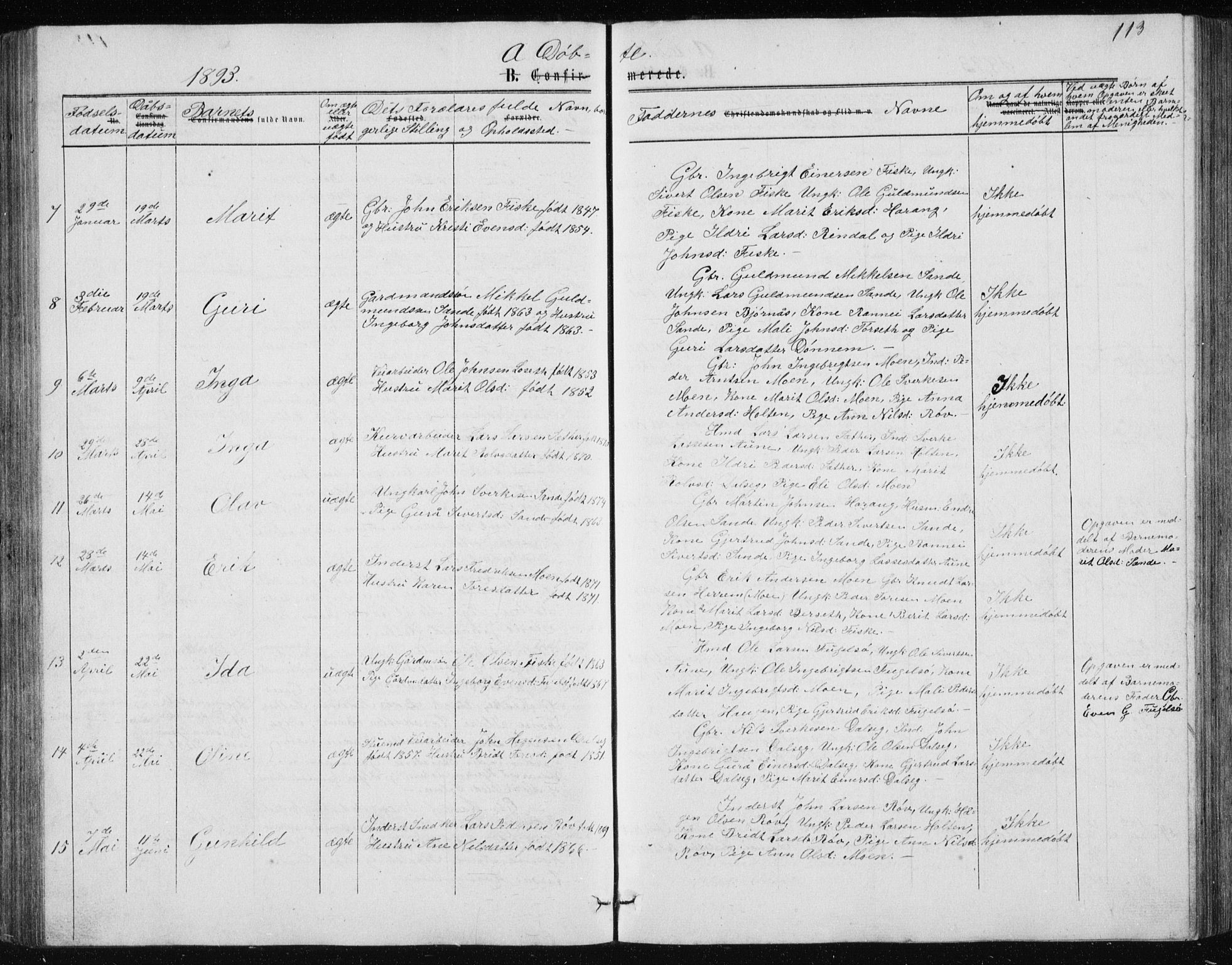 Ministerialprotokoller, klokkerbøker og fødselsregistre - Møre og Romsdal, AV/SAT-A-1454/597/L1064: Parish register (copy) no. 597C01, 1866-1898, p. 113