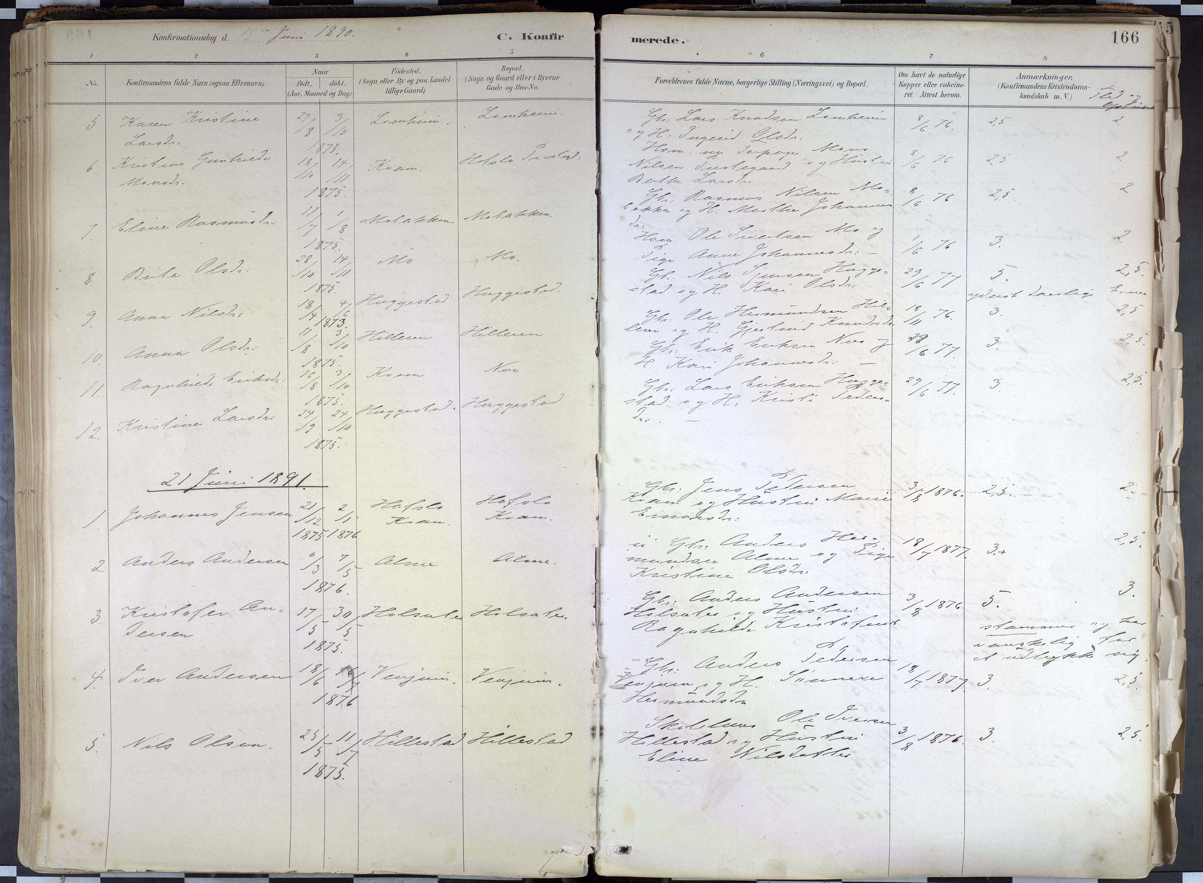 Hafslo sokneprestembete, SAB/A-80301/H/Haa/Haab/L0001: Parish register (official) no. B 1, 1886-1945, p. 166
