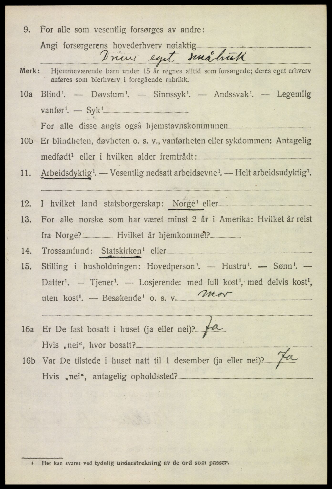 SAH, 1920 census for Vang (Oppland), 1920, p. 3080