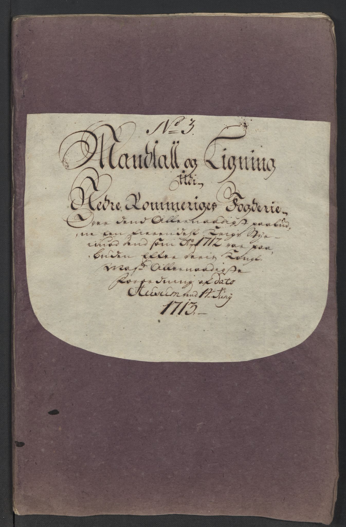 Rentekammeret inntil 1814, Reviderte regnskaper, Fogderegnskap, RA/EA-4092/R11/L0595: Fogderegnskap Nedre Romerike, 1713, p. 110