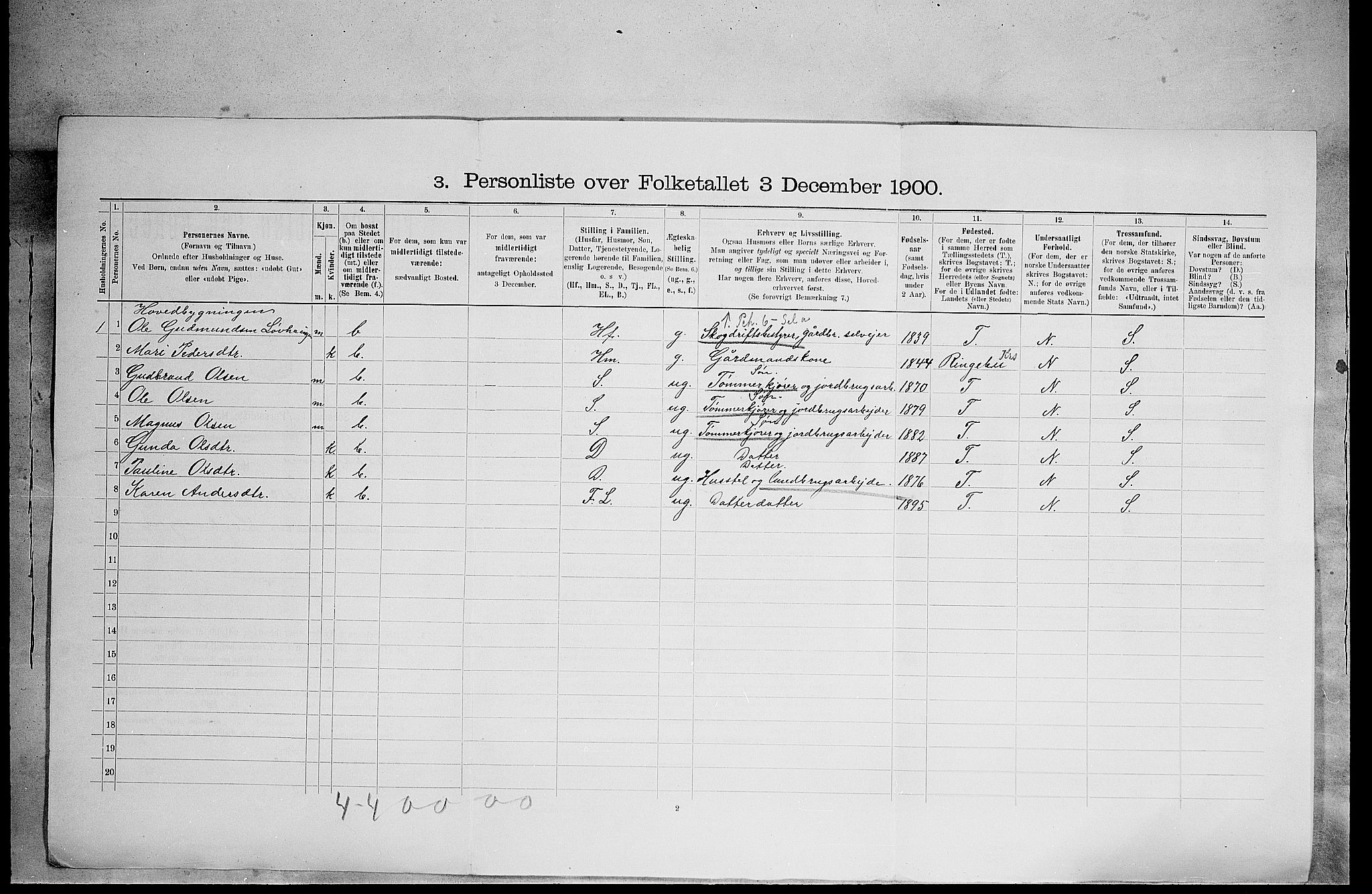 SAH, 1900 census for Elverum, 1900, p. 3003