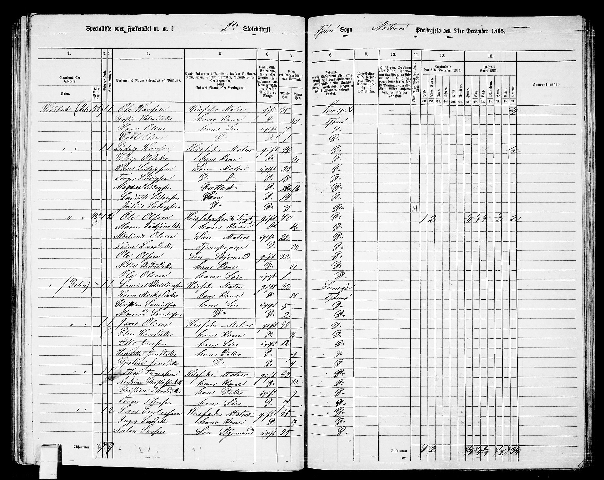 RA, 1865 census for Nøtterøy, 1865, p. 249