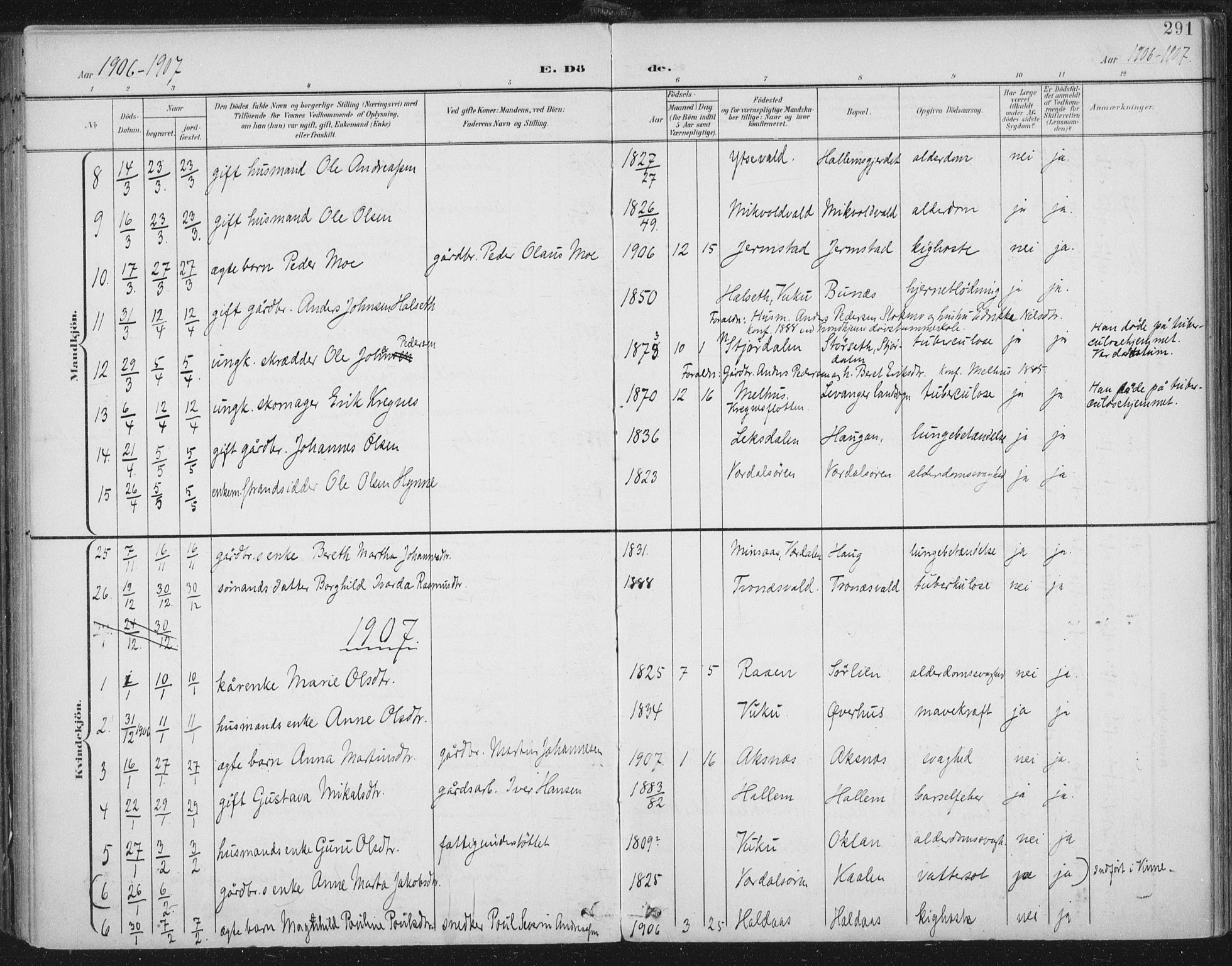 Ministerialprotokoller, klokkerbøker og fødselsregistre - Nord-Trøndelag, SAT/A-1458/723/L0246: Parish register (official) no. 723A15, 1900-1917, p. 291