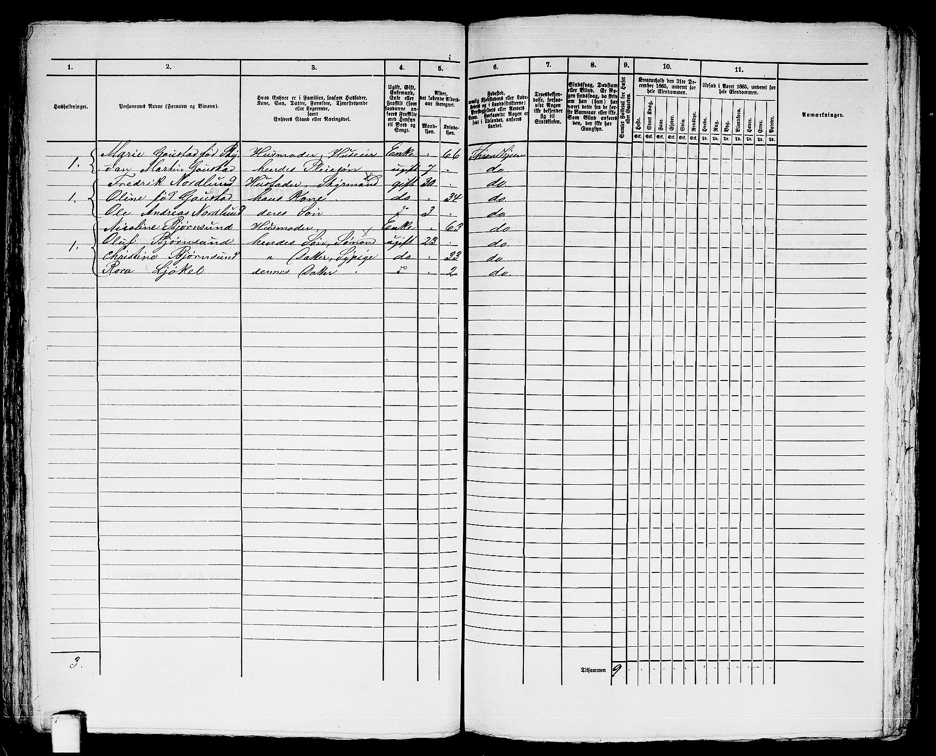 RA, 1865 census for Trondheim, 1865, p. 2320