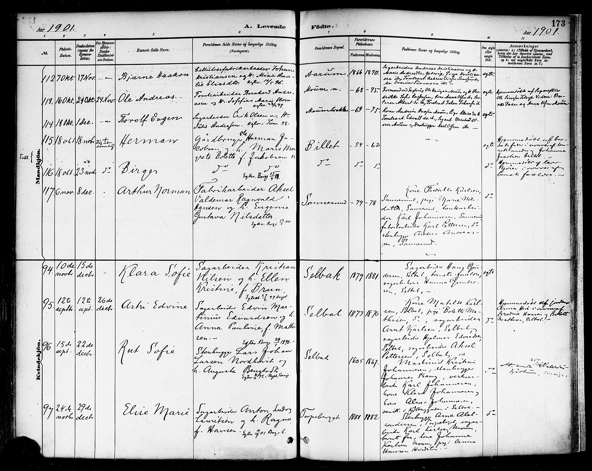 Borge prestekontor Kirkebøker, SAO/A-10903/F/Fa/L0008: Parish register (official) no. I 8A, 1887-1902, p. 173