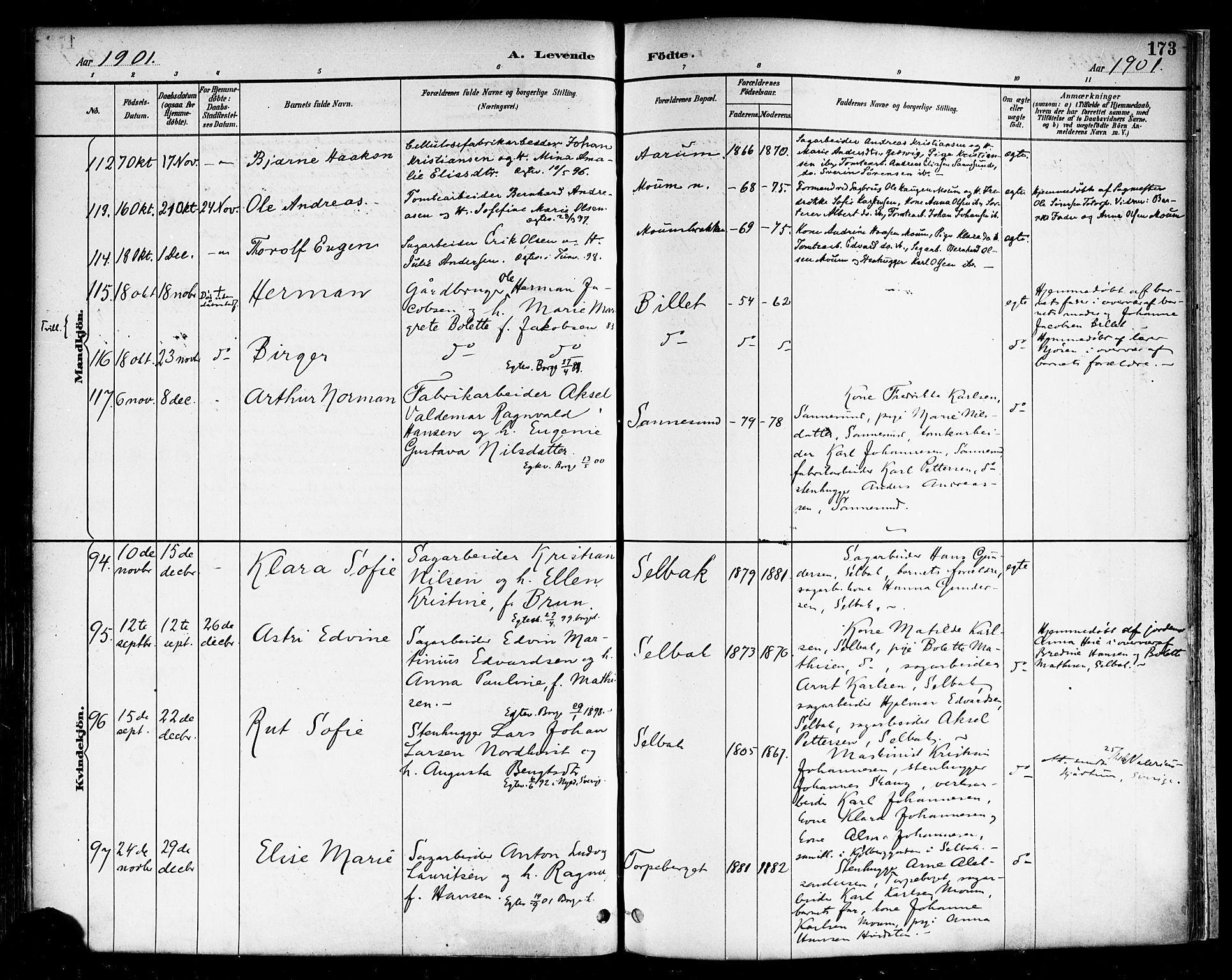 Borge prestekontor Kirkebøker, AV/SAO-A-10903/F/Fa/L0008: Parish register (official) no. I 8A, 1887-1902, p. 173