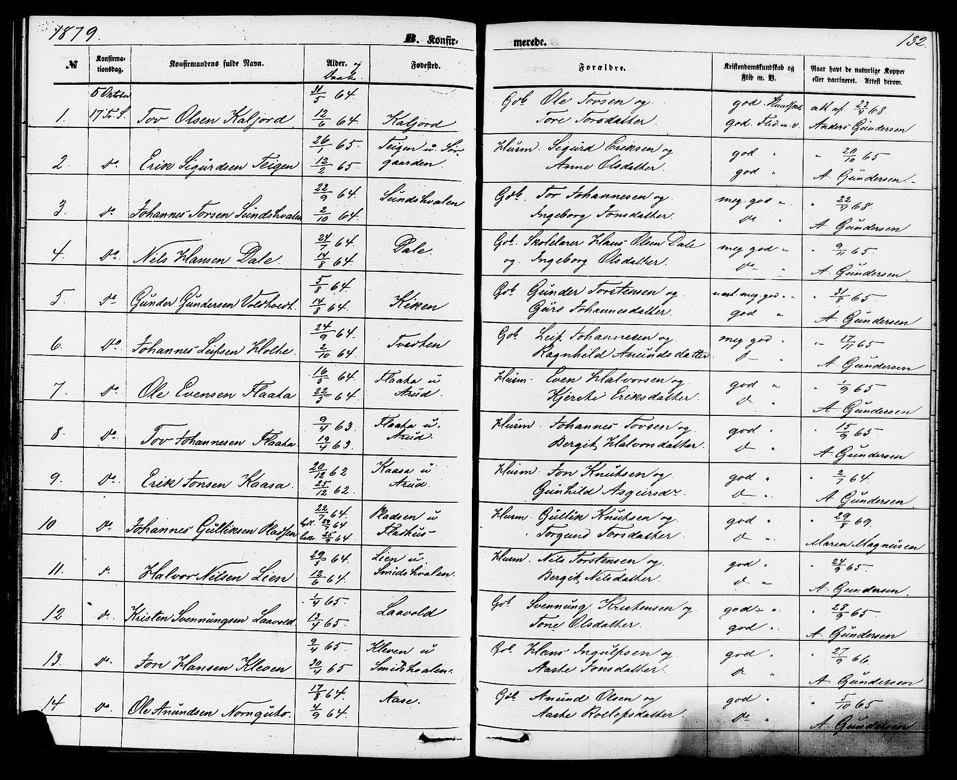 Sauherad kirkebøker, SAKO/A-298/F/Fa/L0008: Parish register (official) no. I 8, 1873-1886, p. 132