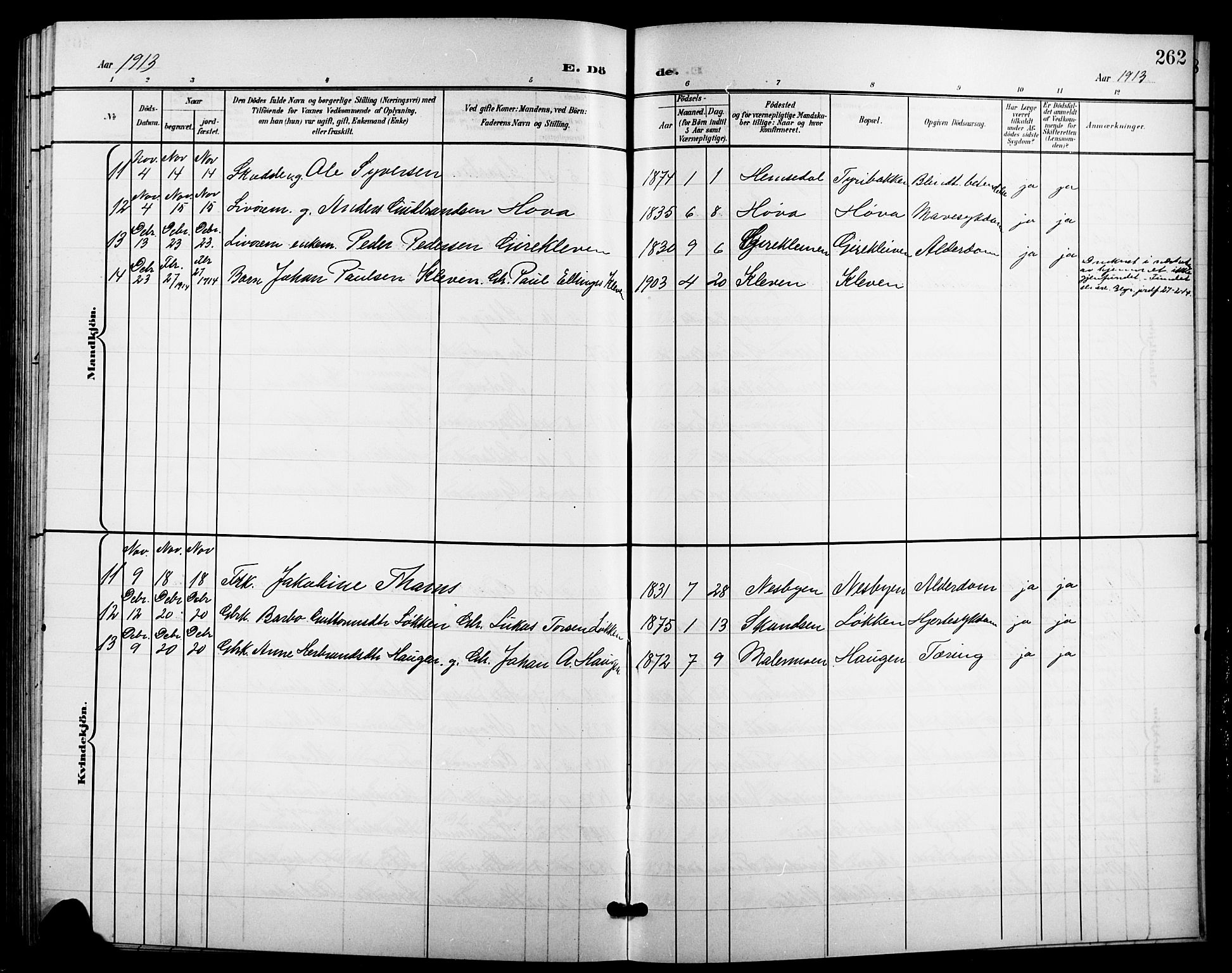 Nes kirkebøker, AV/SAKO-A-236/G/Ga/L0004: Parish register (copy) no. I 4, 1900-1925, p. 262