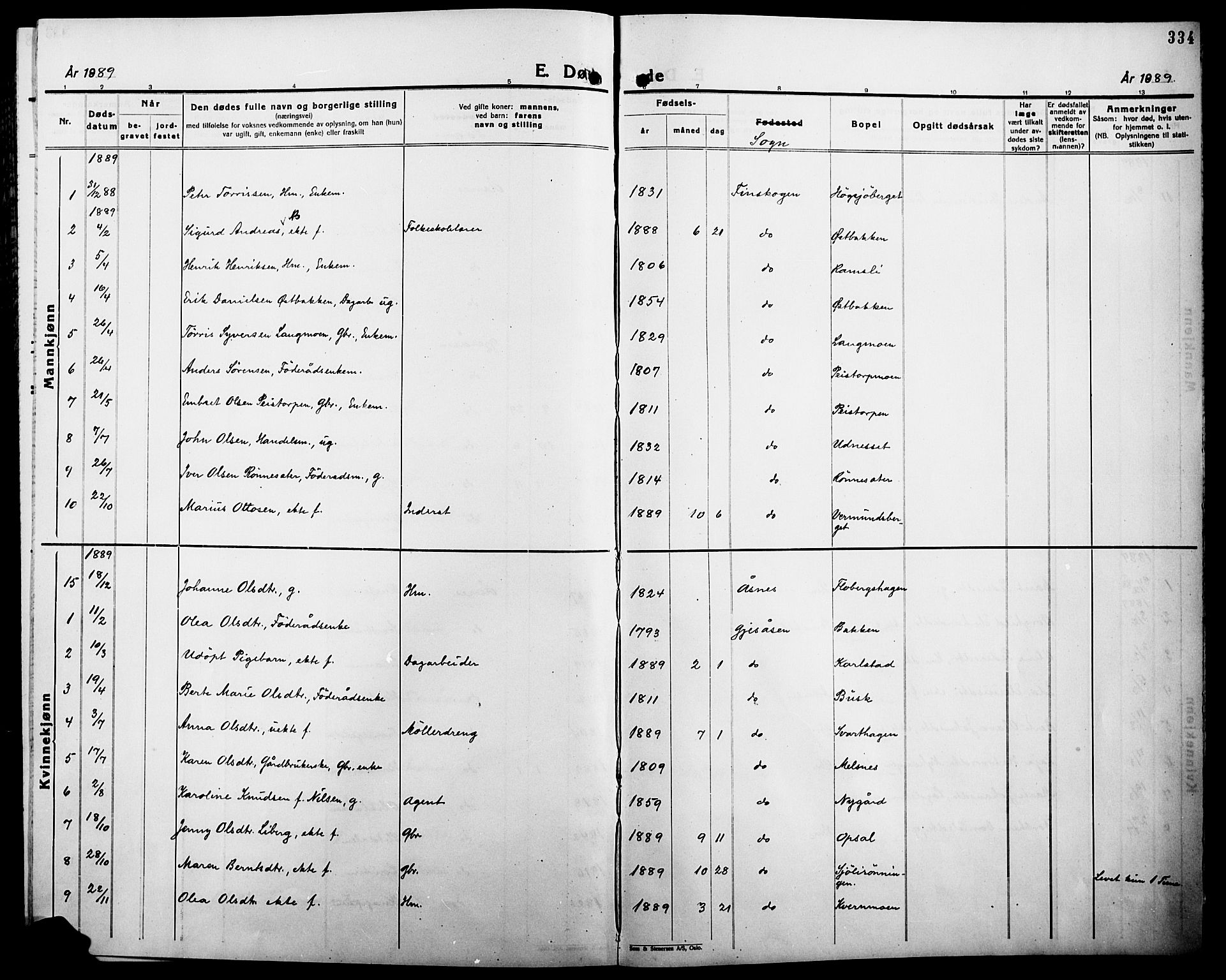 Åsnes prestekontor, AV/SAH-PREST-042/H/Ha/Haa/L0000B: Parish register (official), 1870-1889, p. 334