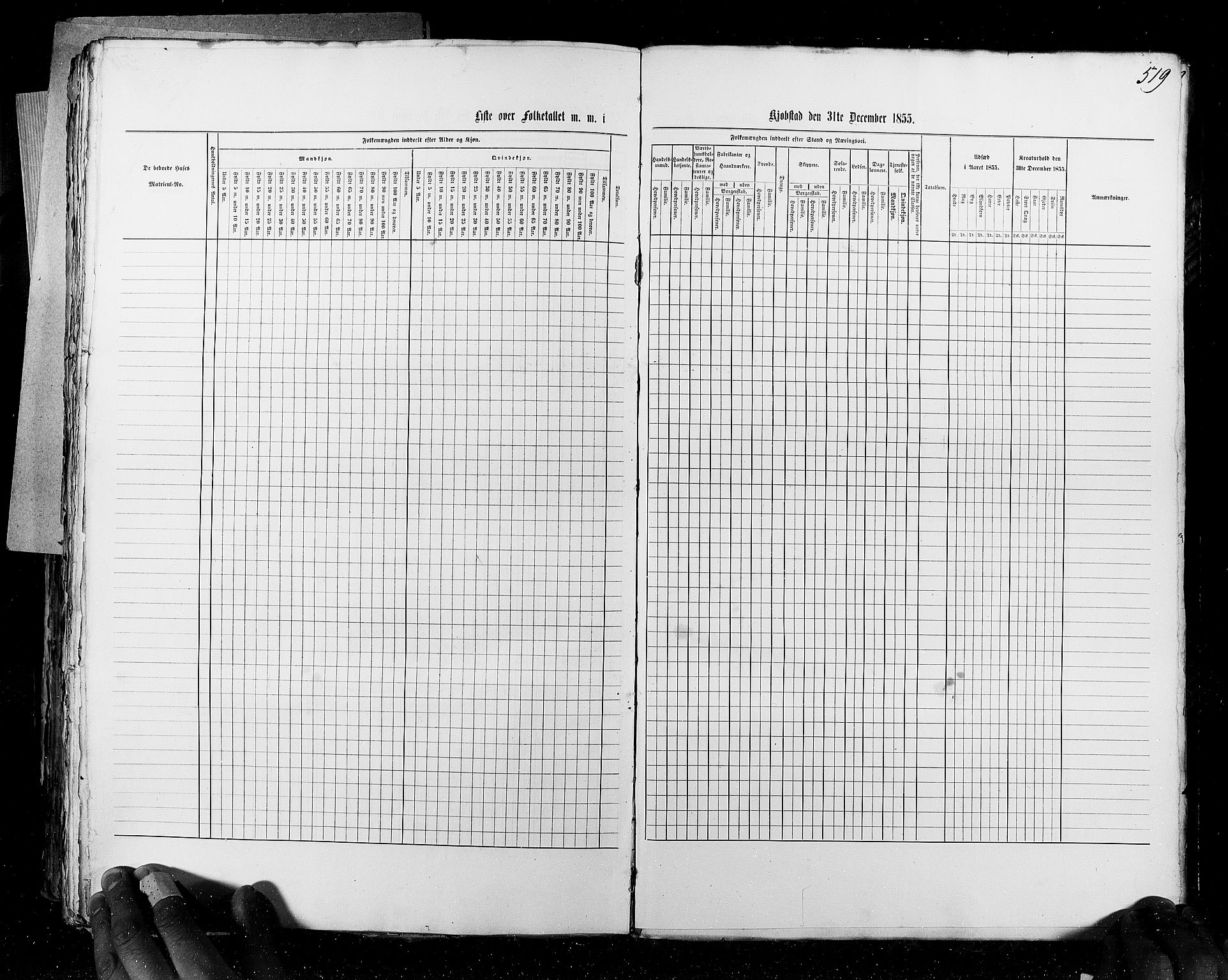 RA, Census 1855, vol. 7: Fredrikshald-Kragerø, 1855, p. 519