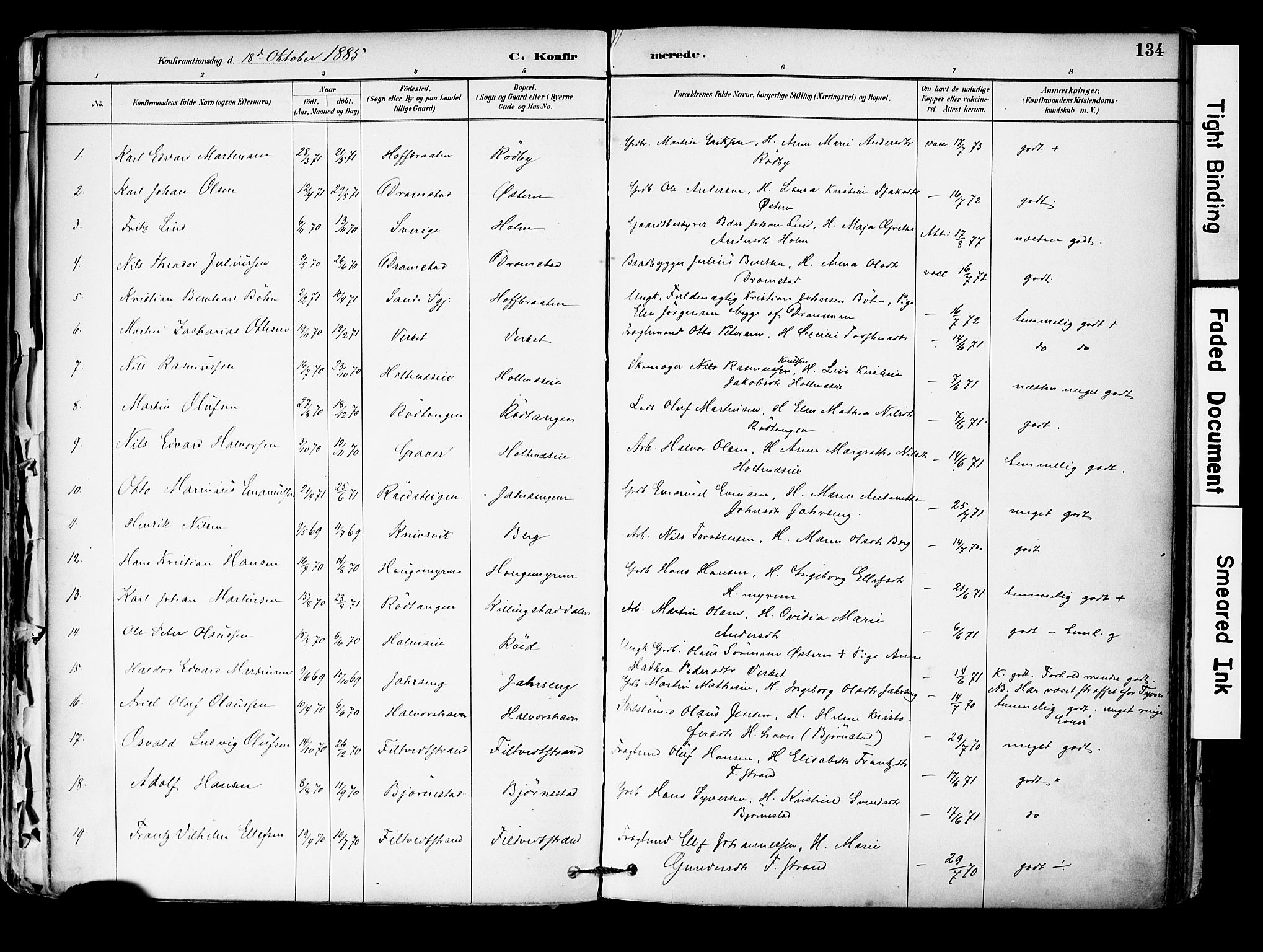 Hurum kirkebøker, SAKO/A-229/F/Fa/L0014: Parish register (official) no. 14, 1882-1895, p. 134