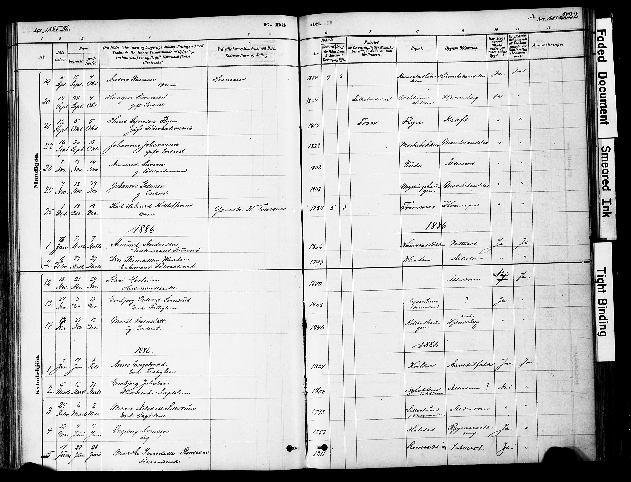 Ringebu prestekontor, AV/SAH-PREST-082/H/Ha/Haa/L0008: Parish register (official) no. 8, 1878-1898, p. 222