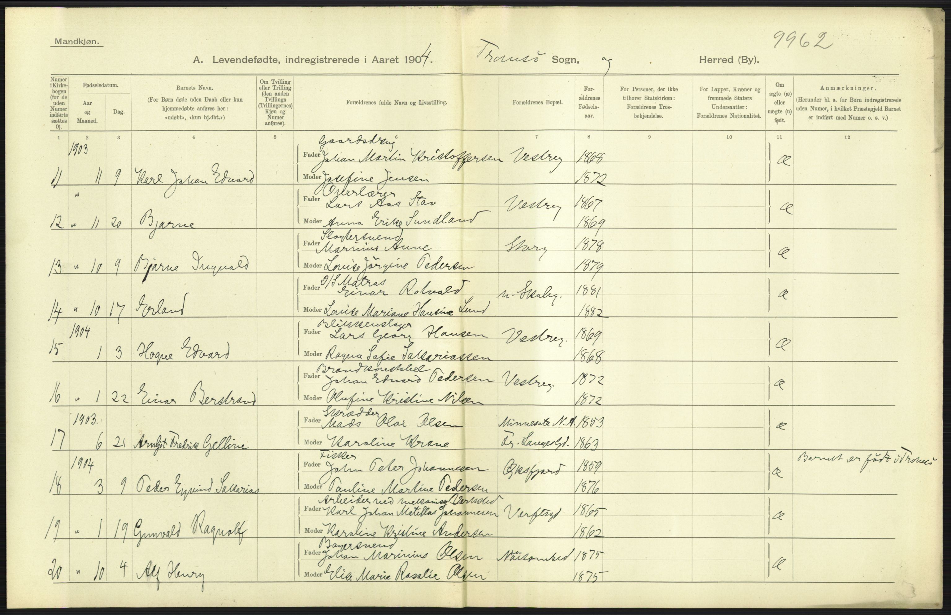 Statistisk sentralbyrå, Sosiodemografiske emner, Befolkning, AV/RA-S-2228/D/Df/Dfa/Dfab/L0022: Tromsø amt: Fødte, gifte, døde, 1904, p. 263