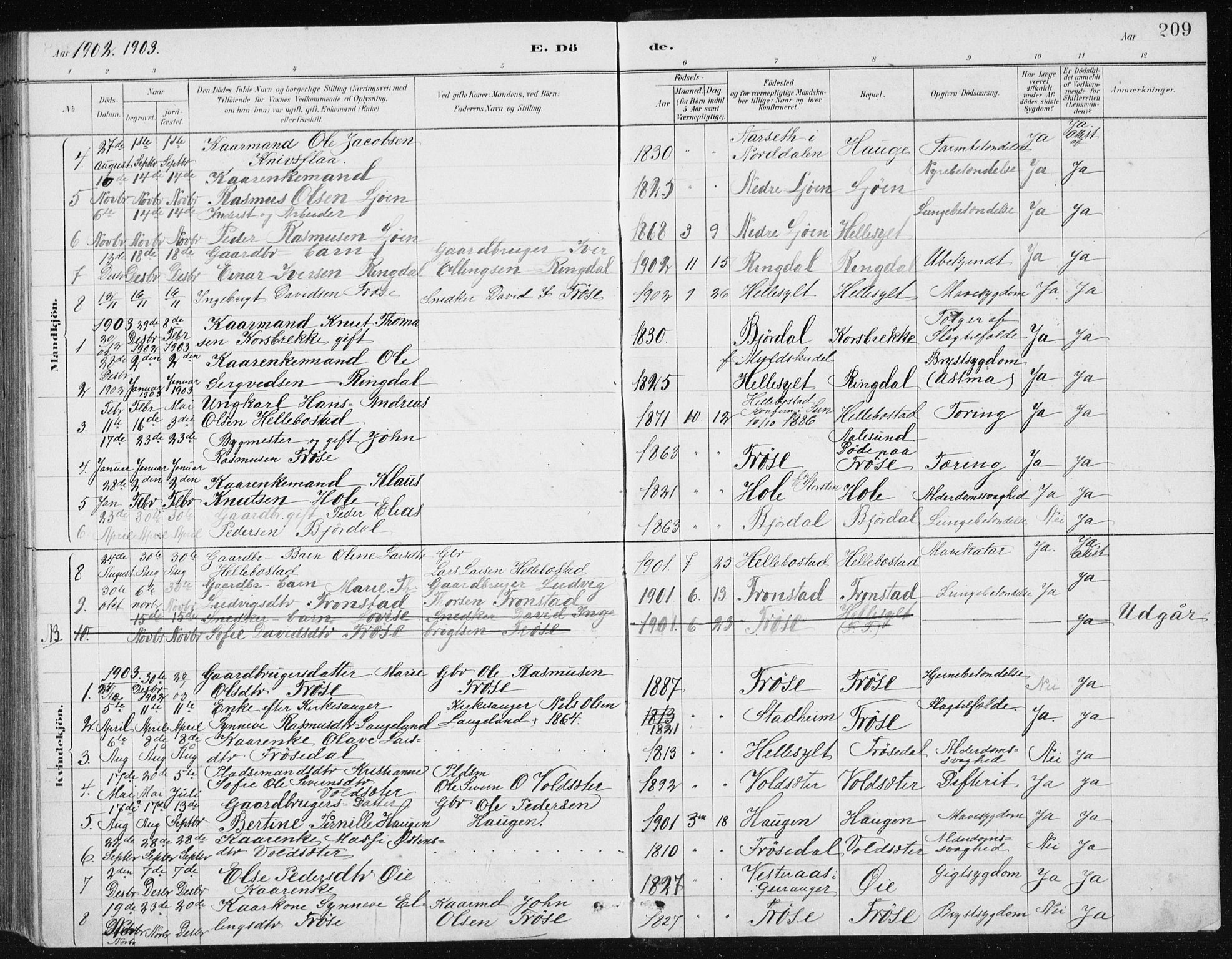 Ministerialprotokoller, klokkerbøker og fødselsregistre - Møre og Romsdal, SAT/A-1454/517/L0230: Parish register (copy) no. 517C03, 1879-1912, p. 209