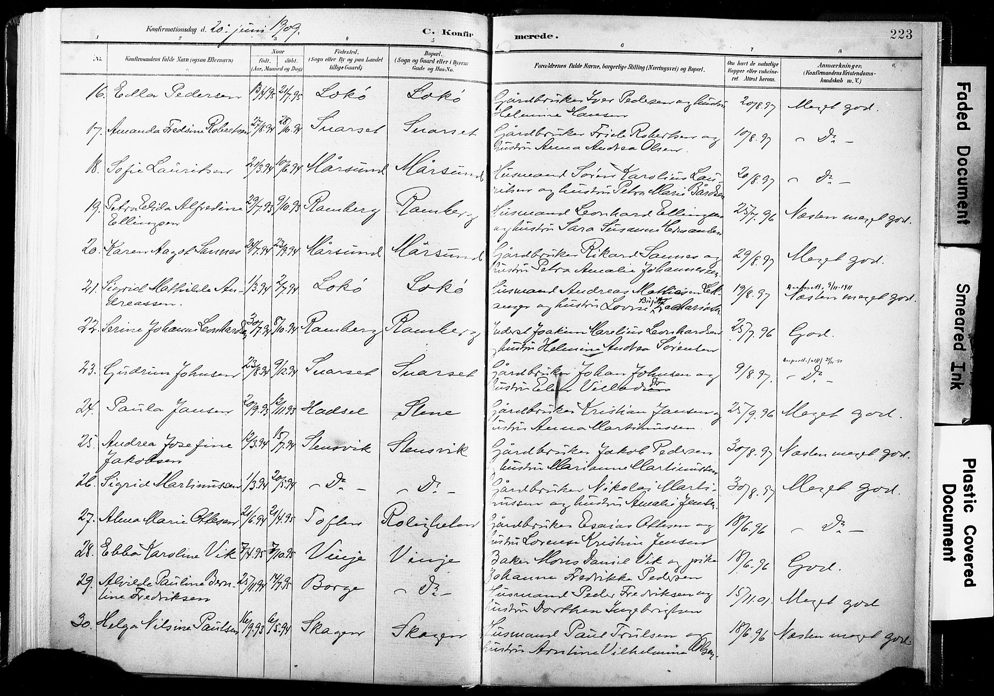 Ministerialprotokoller, klokkerbøker og fødselsregistre - Nordland, AV/SAT-A-1459/891/L1304: Parish register (official) no. 891A09, 1895-1921, p. 223