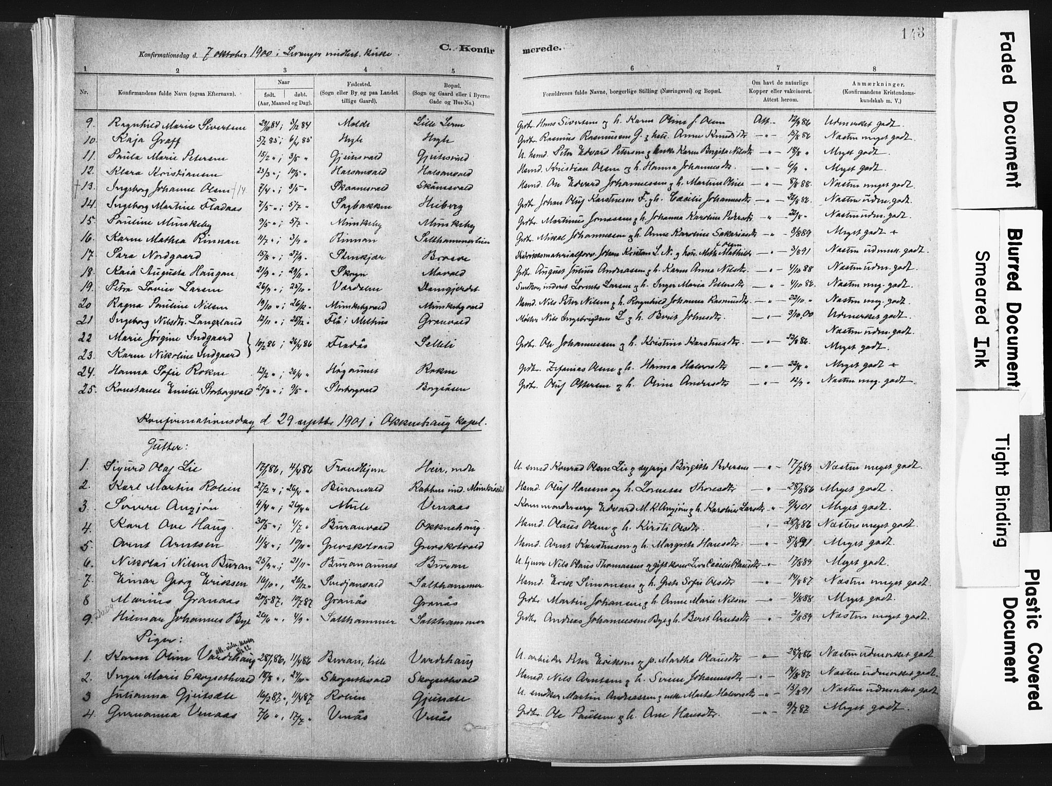 Ministerialprotokoller, klokkerbøker og fødselsregistre - Nord-Trøndelag, SAT/A-1458/721/L0207: Parish register (official) no. 721A02, 1880-1911, p. 143