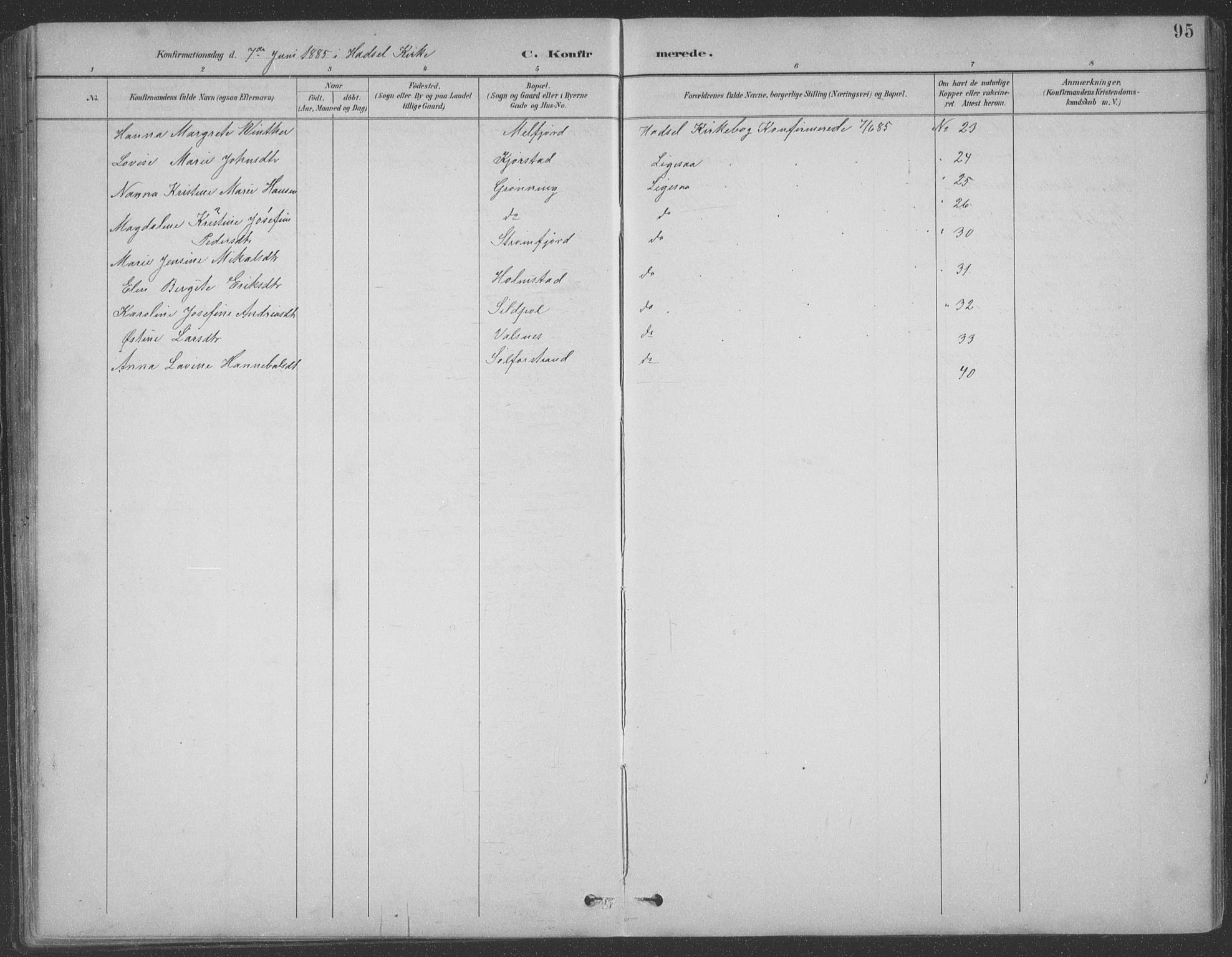 Ministerialprotokoller, klokkerbøker og fødselsregistre - Nordland, SAT/A-1459/890/L1290: Parish register (copy) no. 890C01, 1882-1911, p. 95