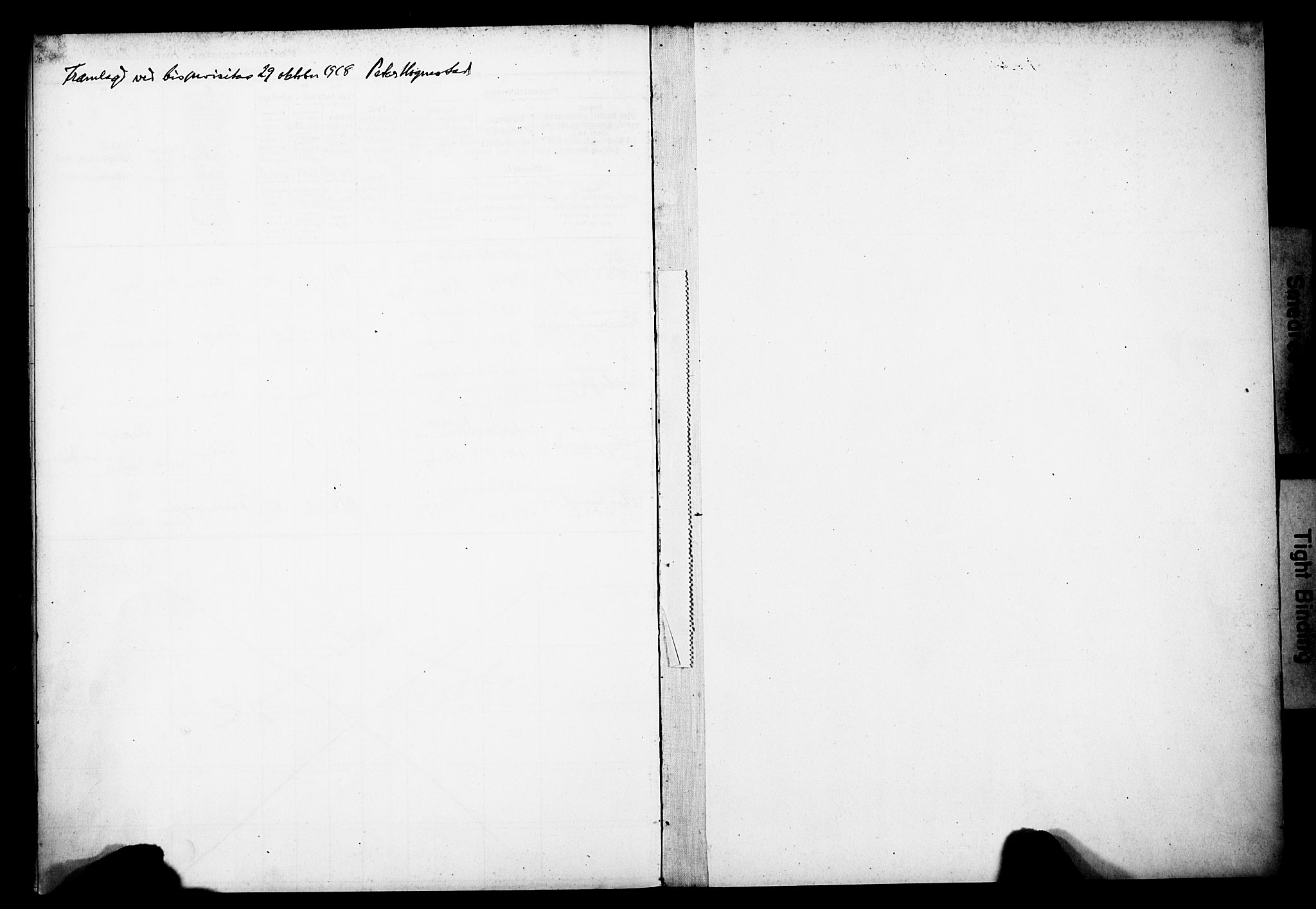 Domkirken sokneprestembete, AV/SAB-A-74801/I/Id/L00A1: Birth register no. A 1, 1916-1923